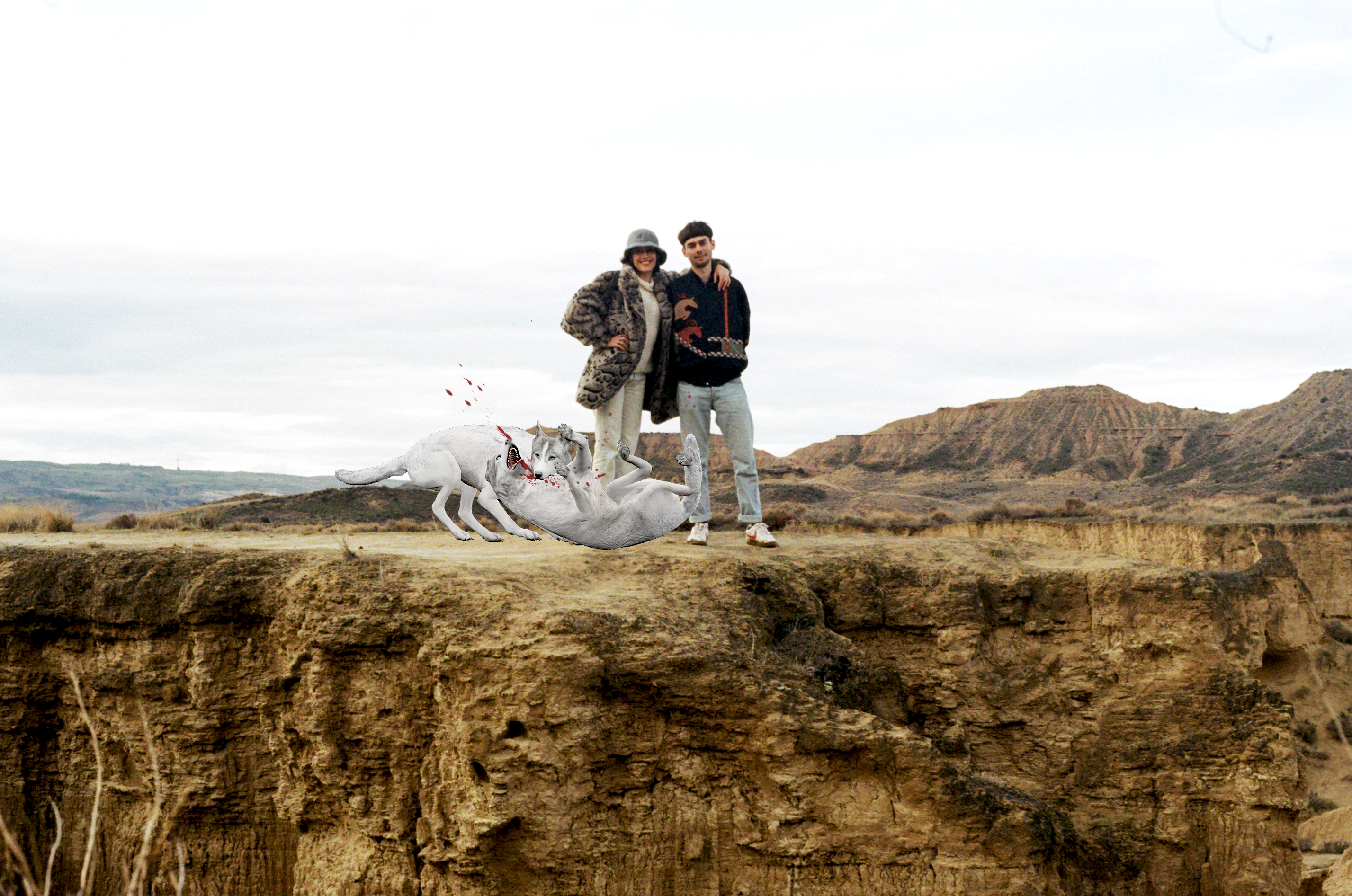 Agar Agar c Dylan Rais 2