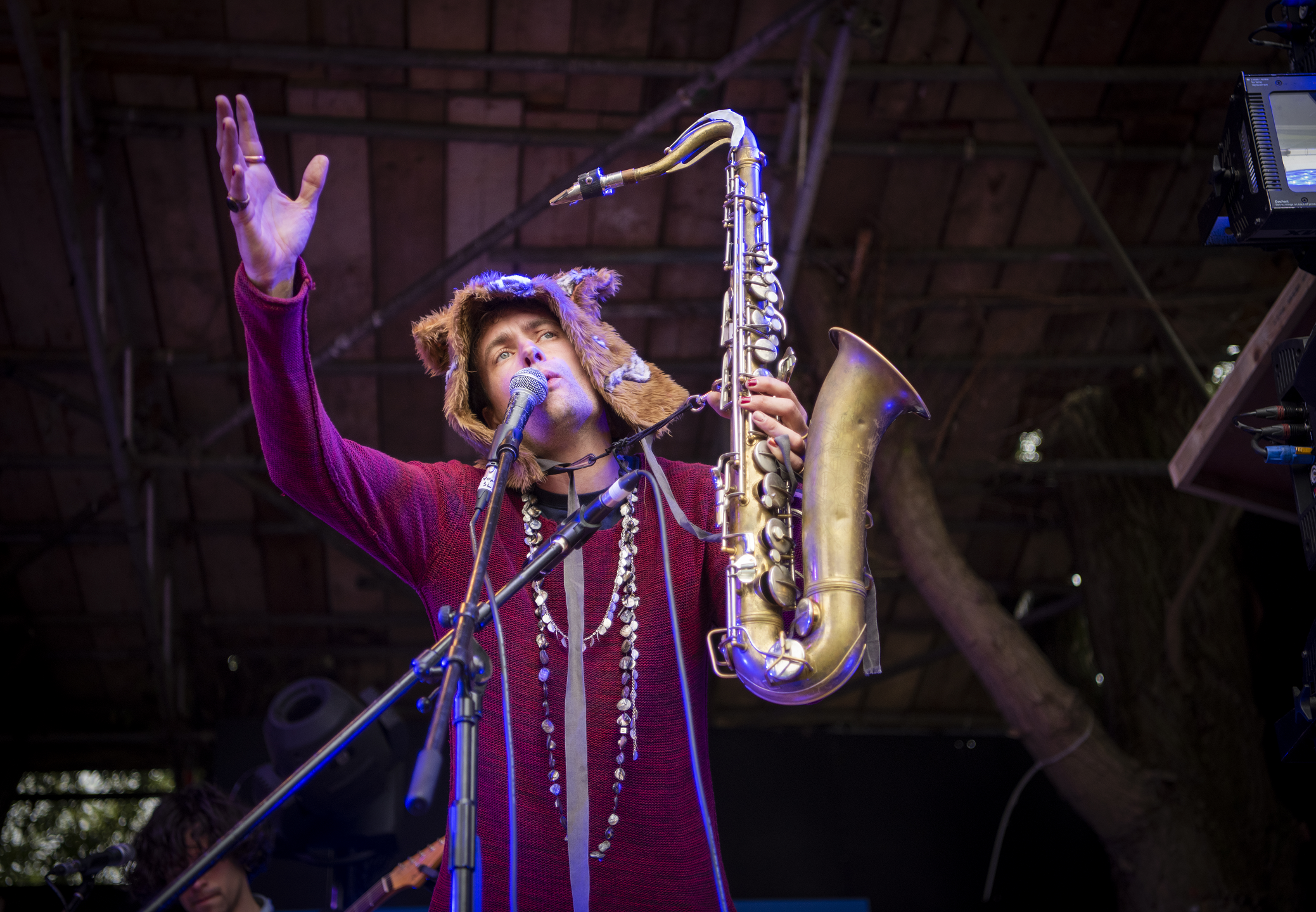 Alabasta de Plume Lisa Wormsley