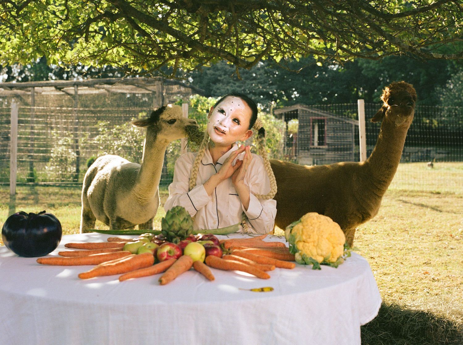 Alice Longyu Gao with alpacas for "Make U 3 Me" single