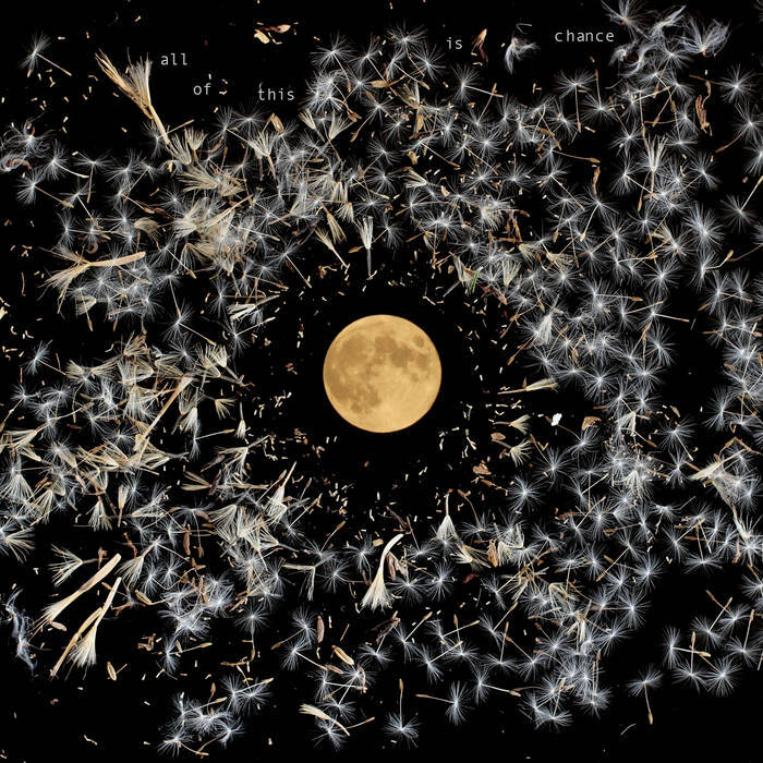 All Of This Is To Chance Lisa O Neil