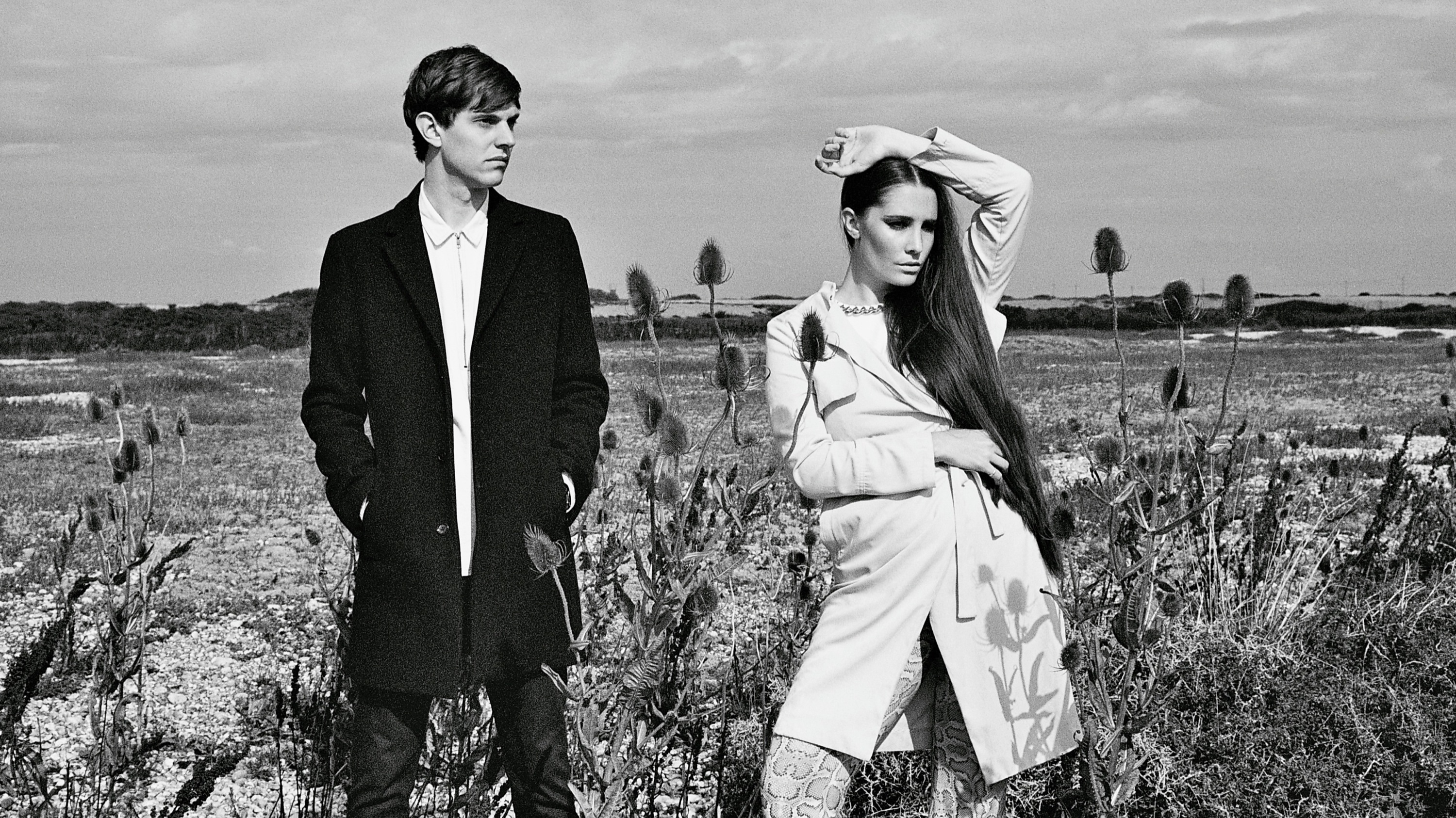 Alpines Cyrus Mahboubian 6 1