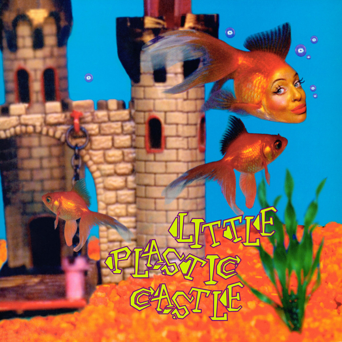 Ani Di Franco Little Plastic Castle