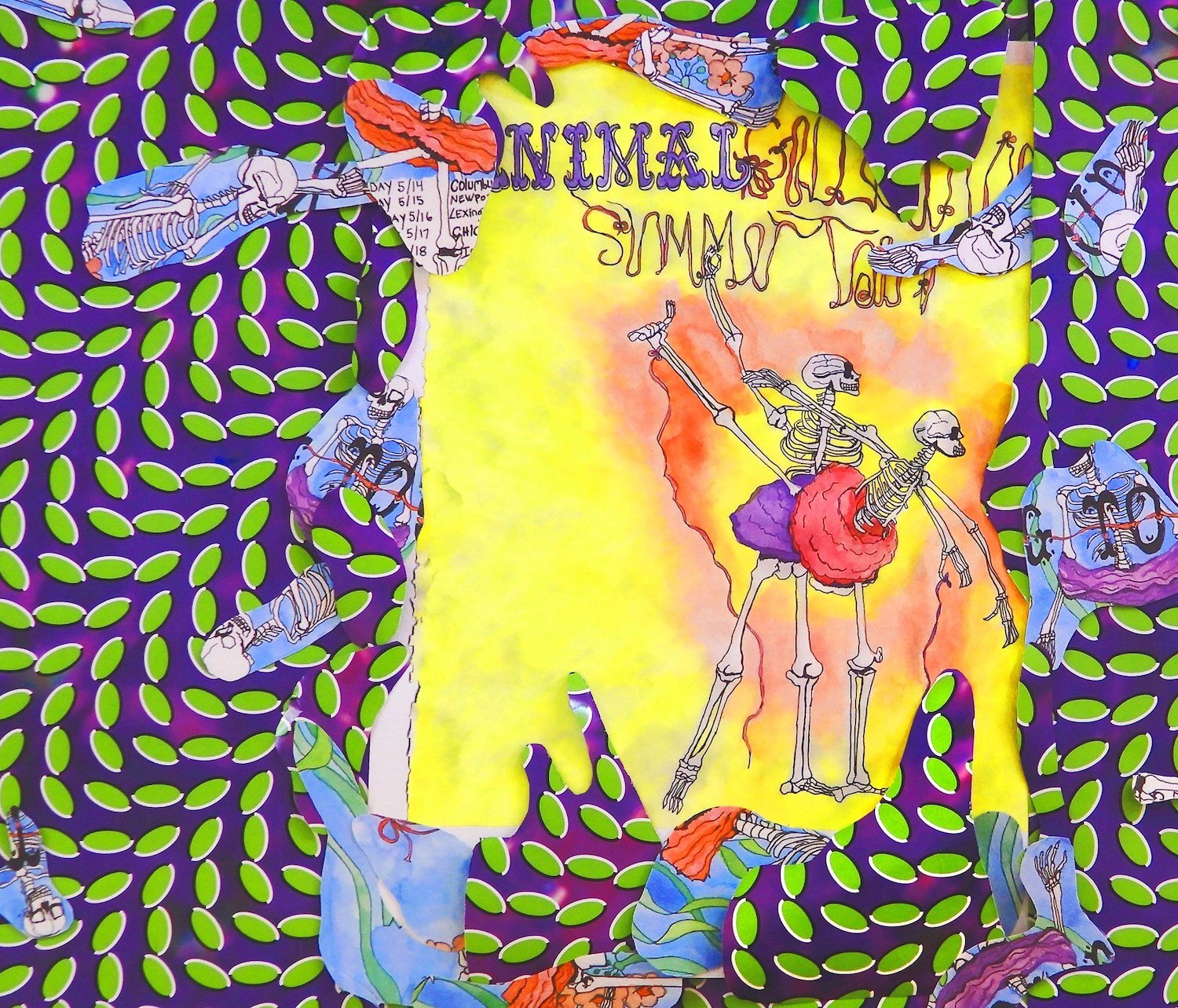 Animal Collective Ballet Slippers CVR