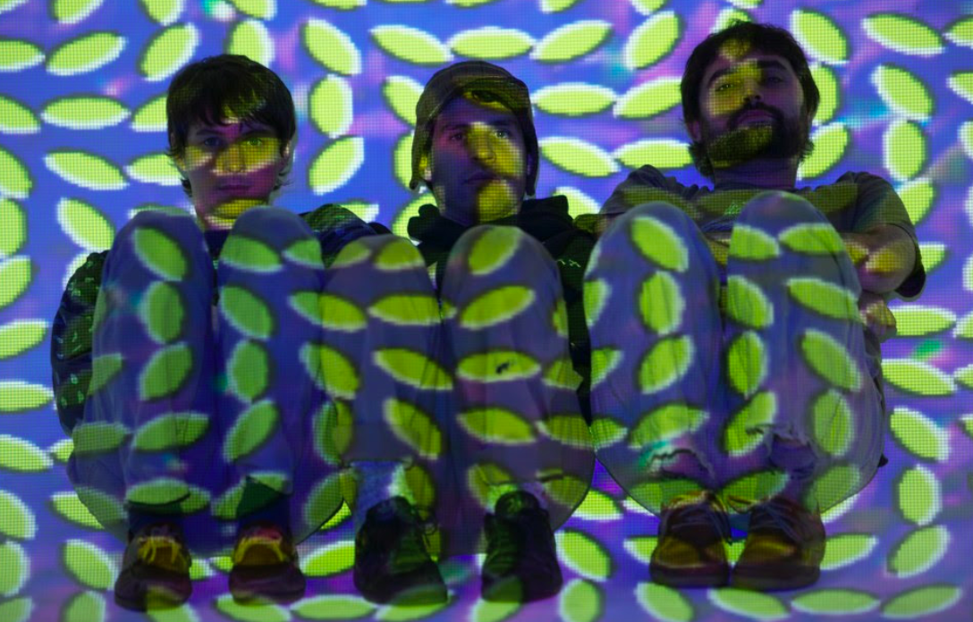 Animal Collective Merriweather anniversary
