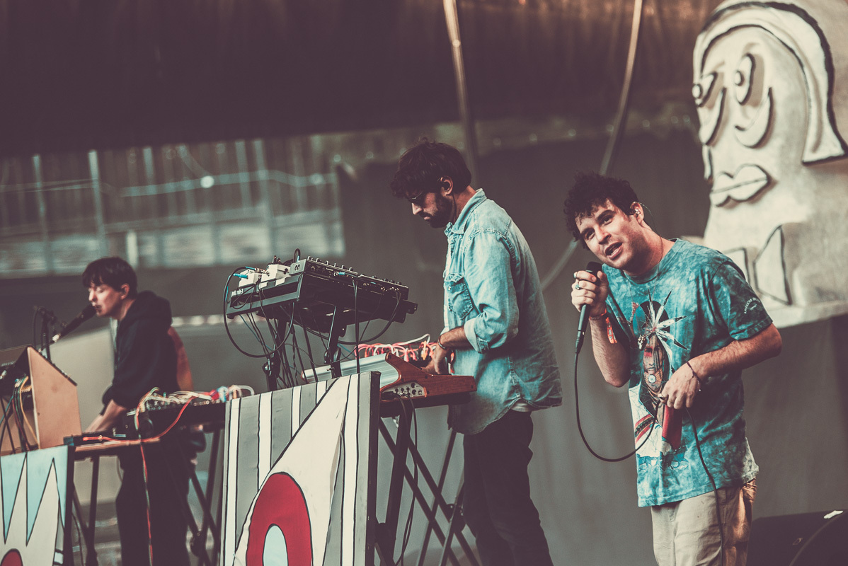 Animal Collective ID10 T Fest Shoreline Amphitheatre Mountain View 06 24 25 17 Erika Reinsel 44