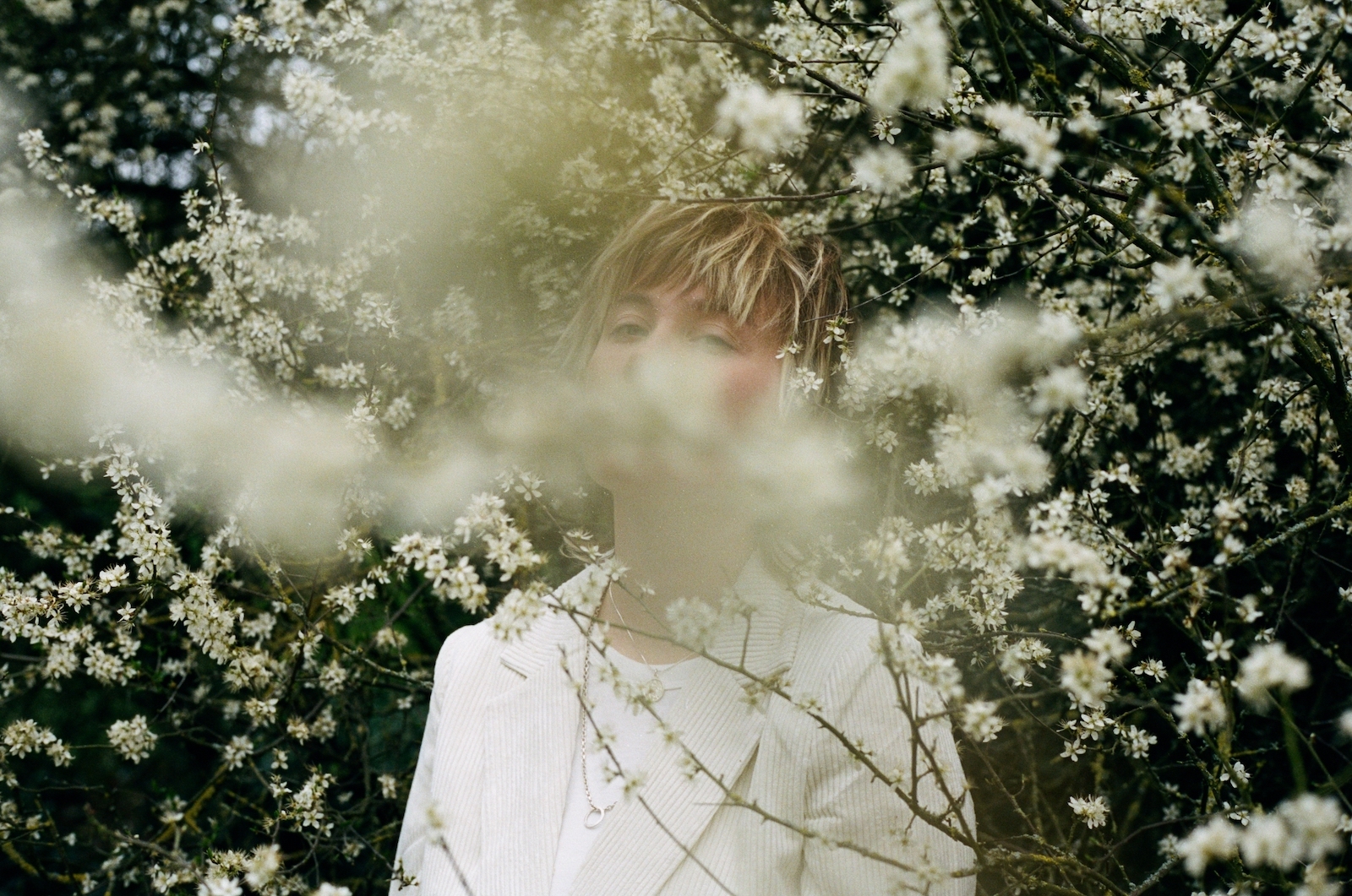 Annabel Allum 2 Stephanie Carral