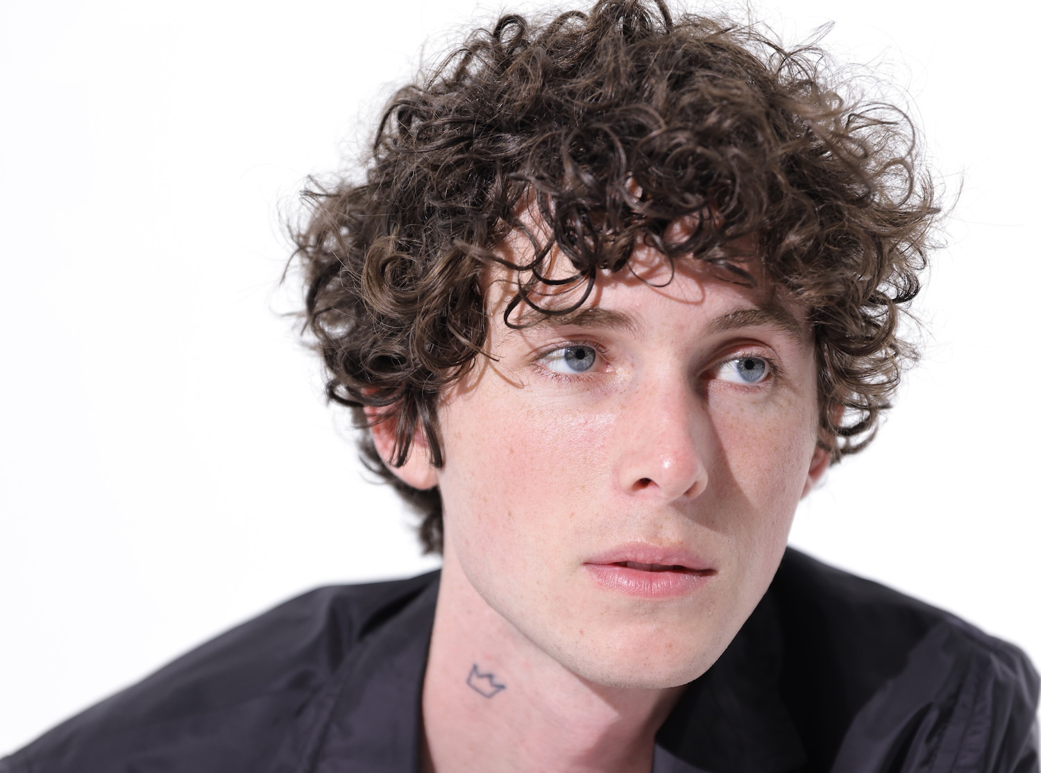 August Royals GENERAL USE PRESS PHOTO