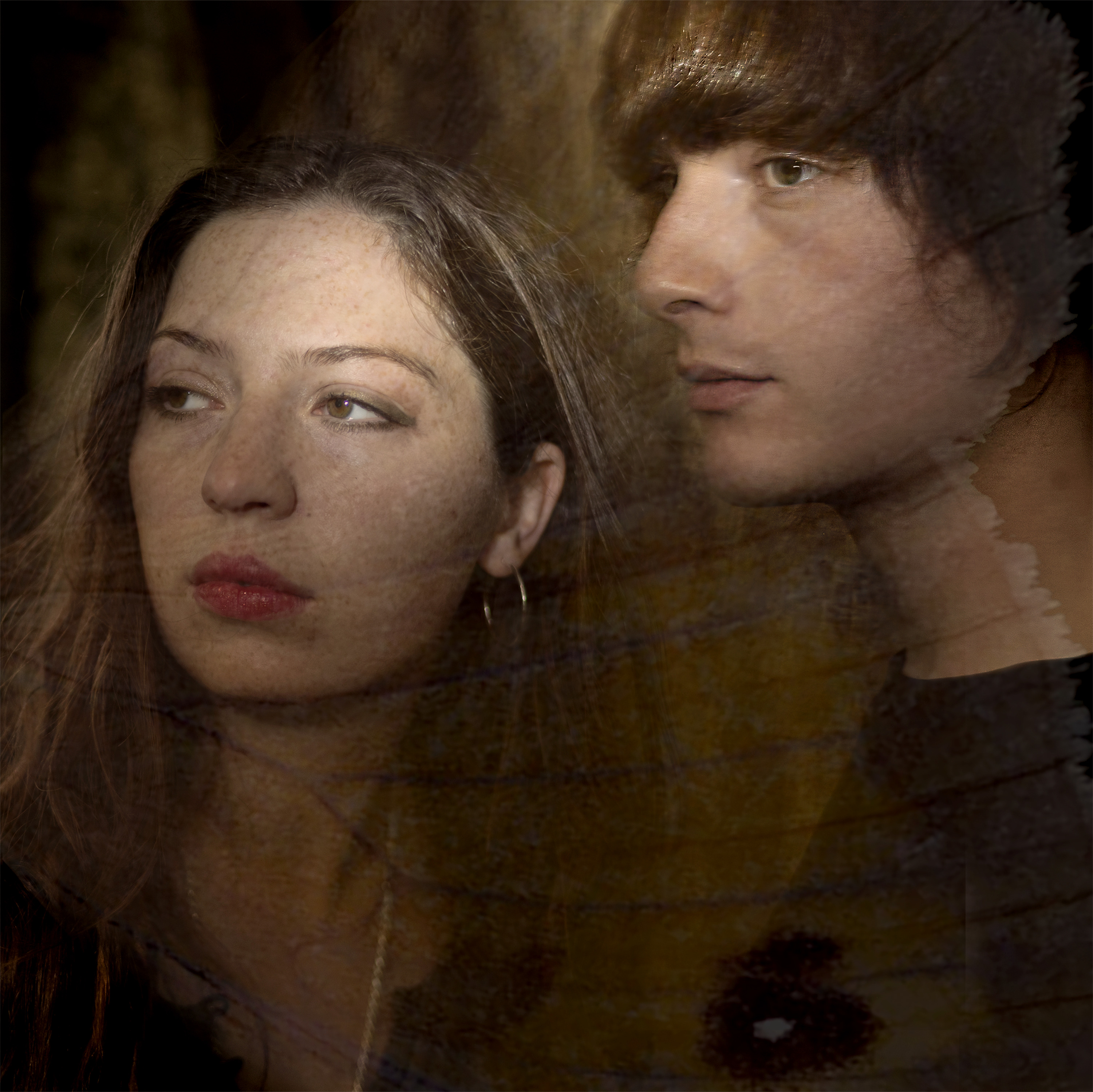 BUTTERFLY final art 1