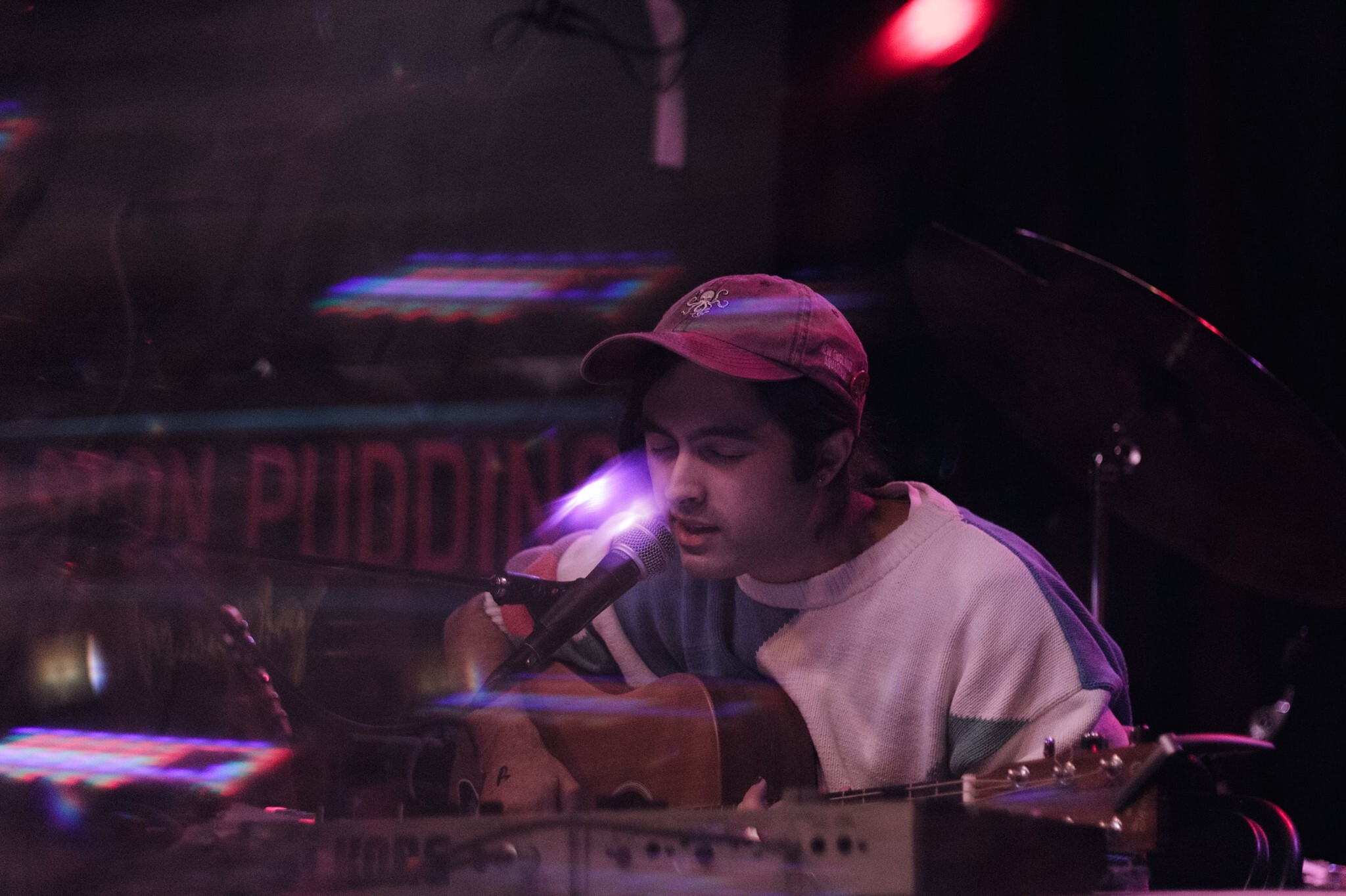 Bedbug Allston Pudding1