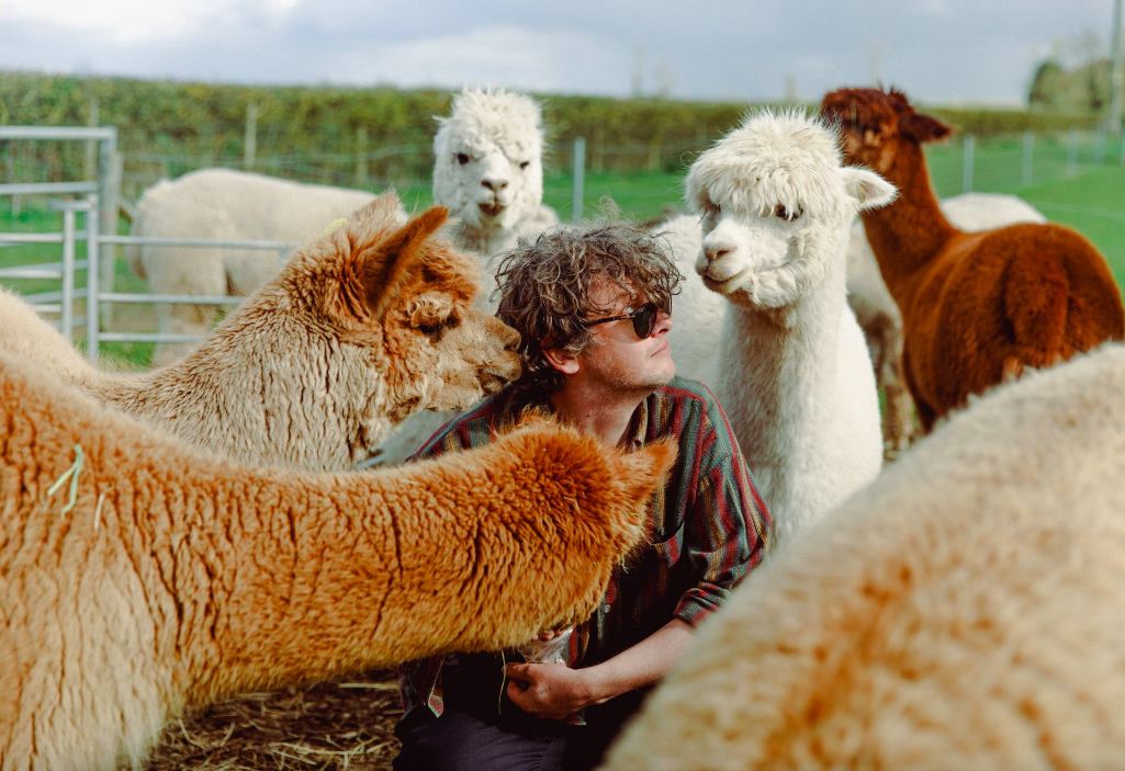 Bill Ryder Jones farm 2023