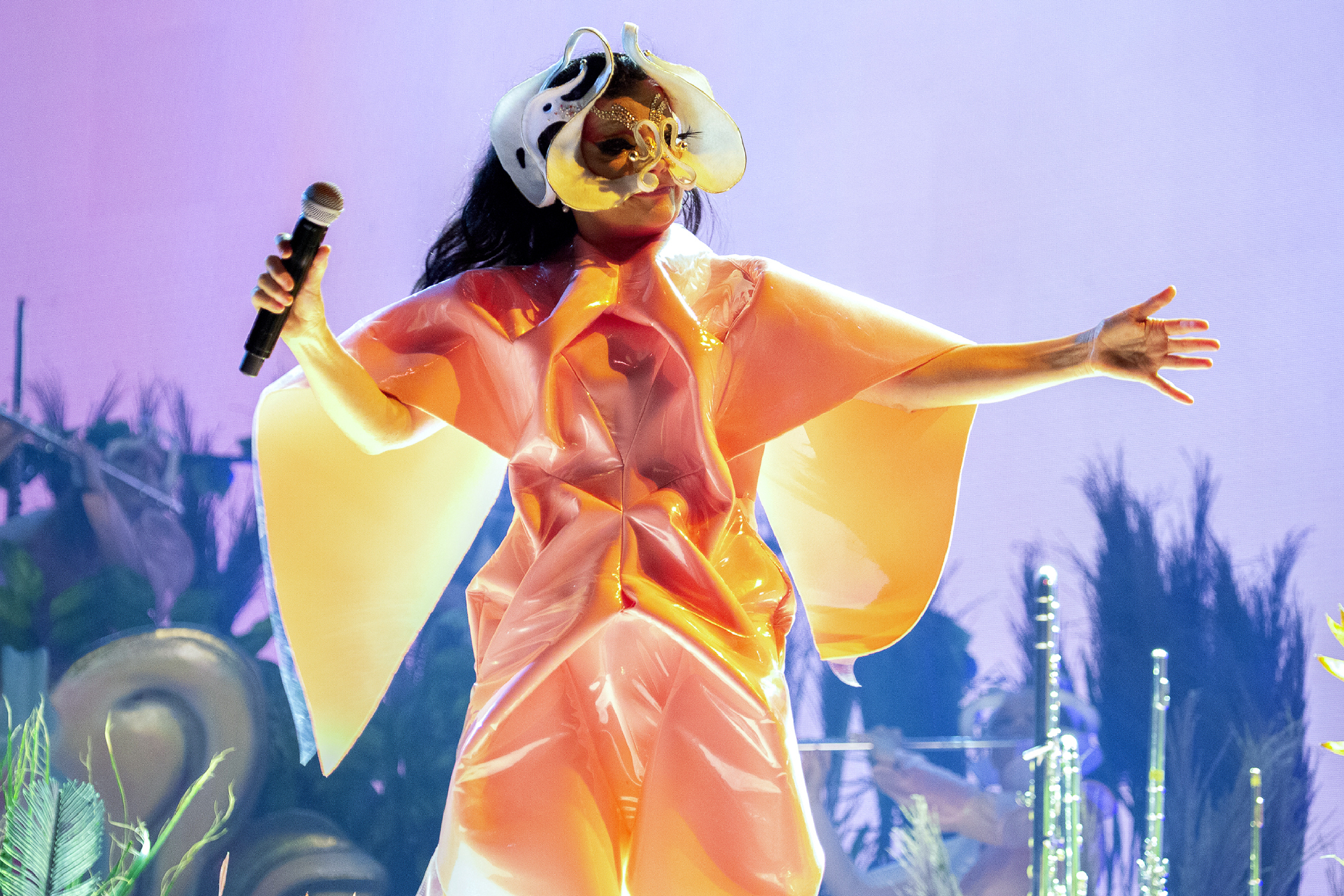 Bjork 03 Santiago Felipe