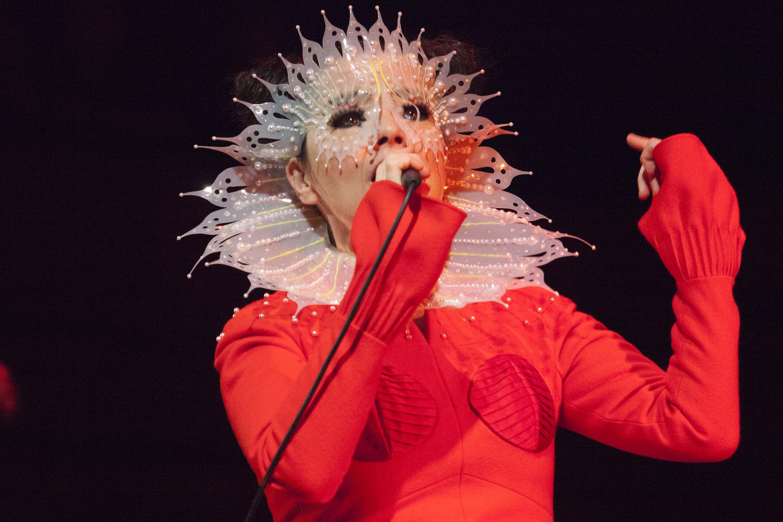 Bjork 11 05 2015 Photocredit Santiago Felipe 06