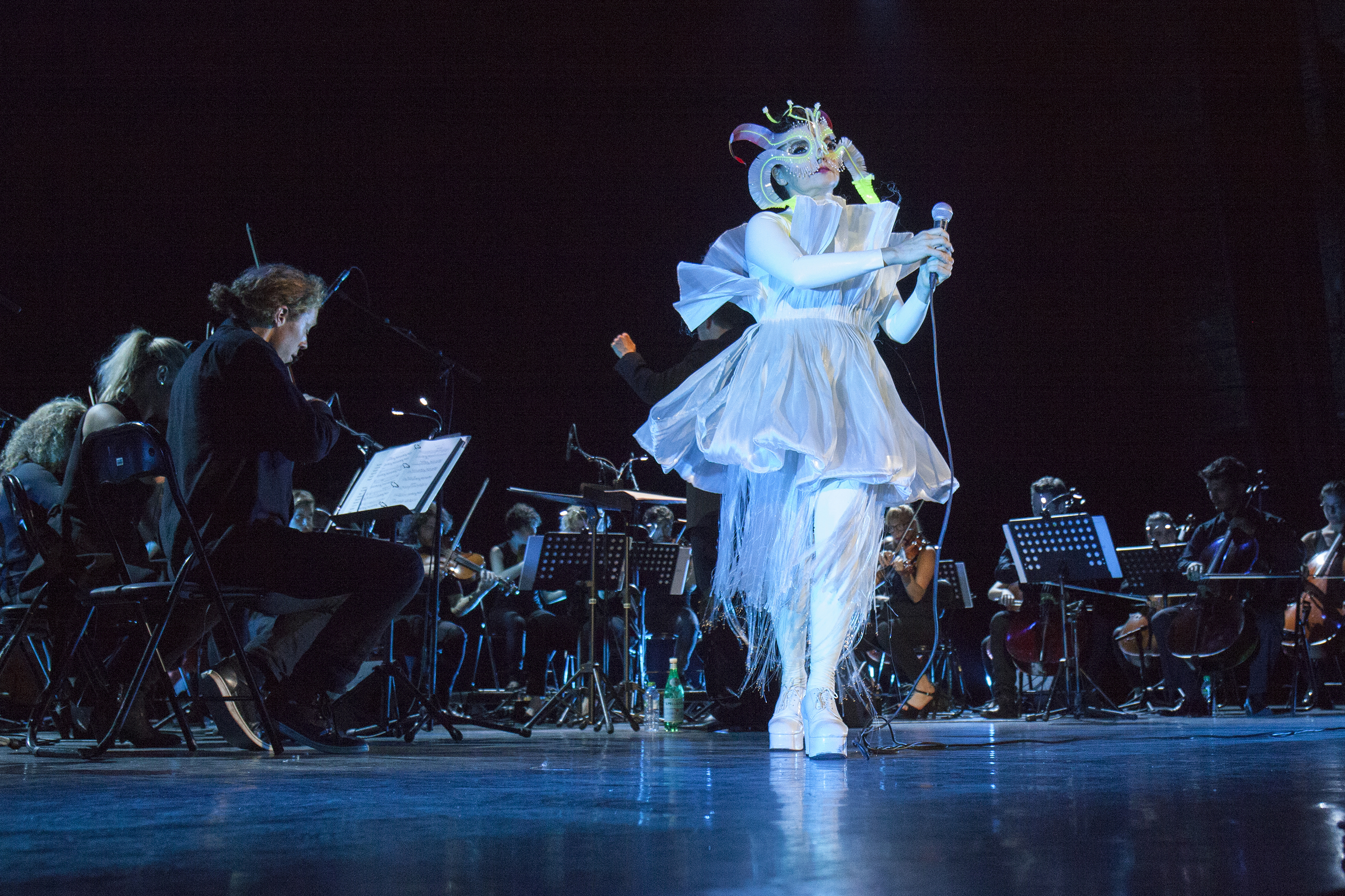 Bjork London Photocred Santiago Felipe IMG 6613