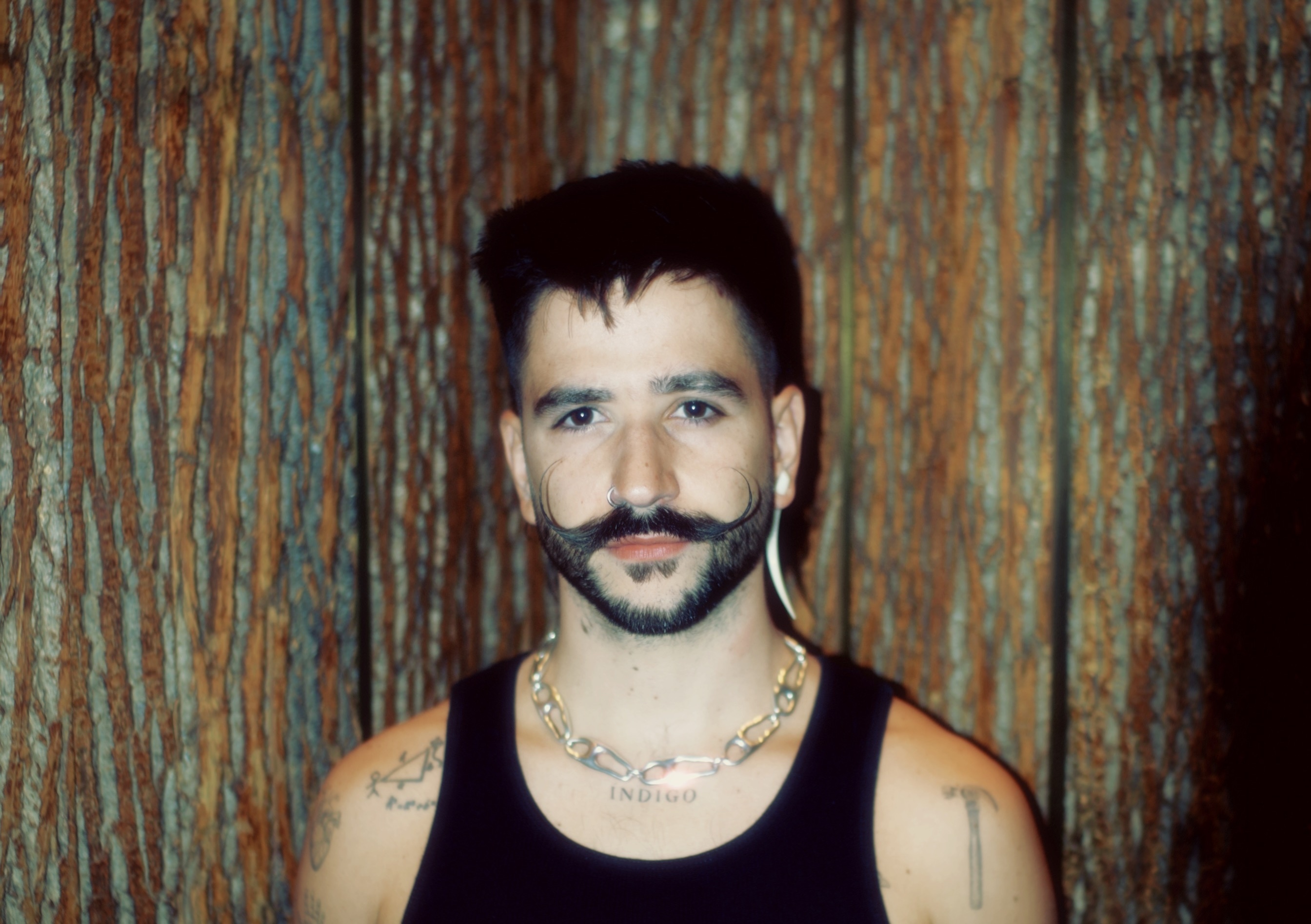 Camilo 1 1180 landscape