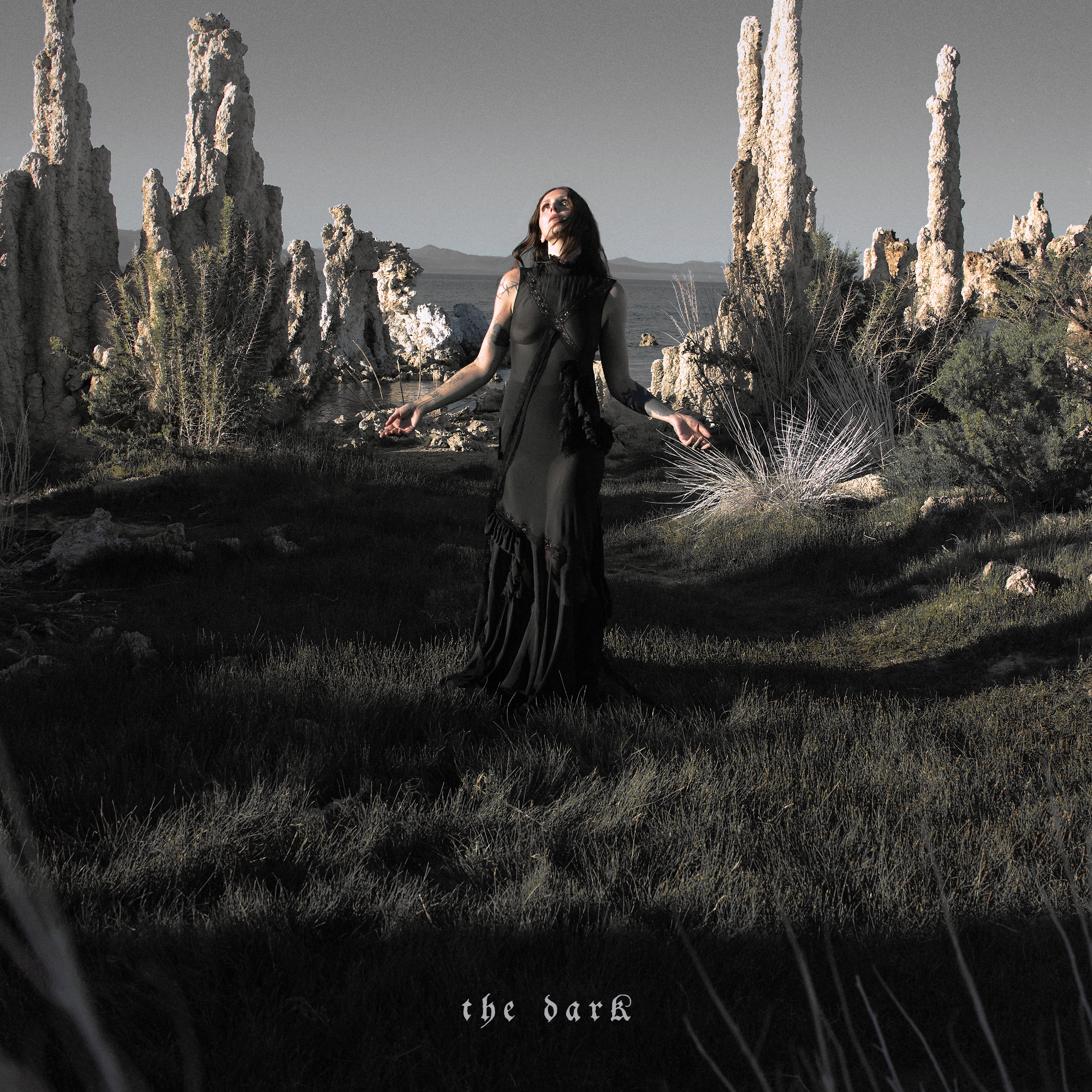 Chelsea Wolfe The Dark Album