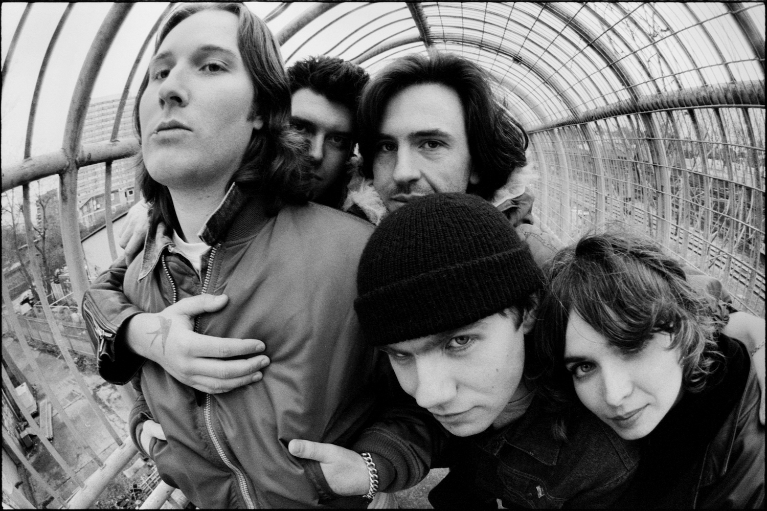 Chubby and the Gang 2 credit Sirus f Gahan