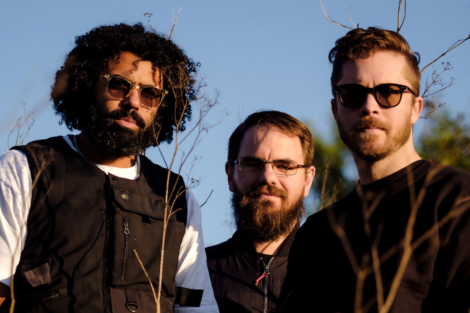 Clipping by Damien Maloney