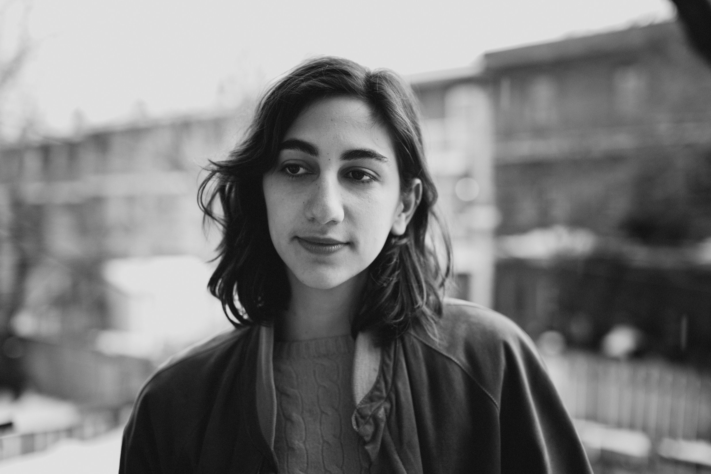 Common Holly Hi Res Sean Mundy Photography