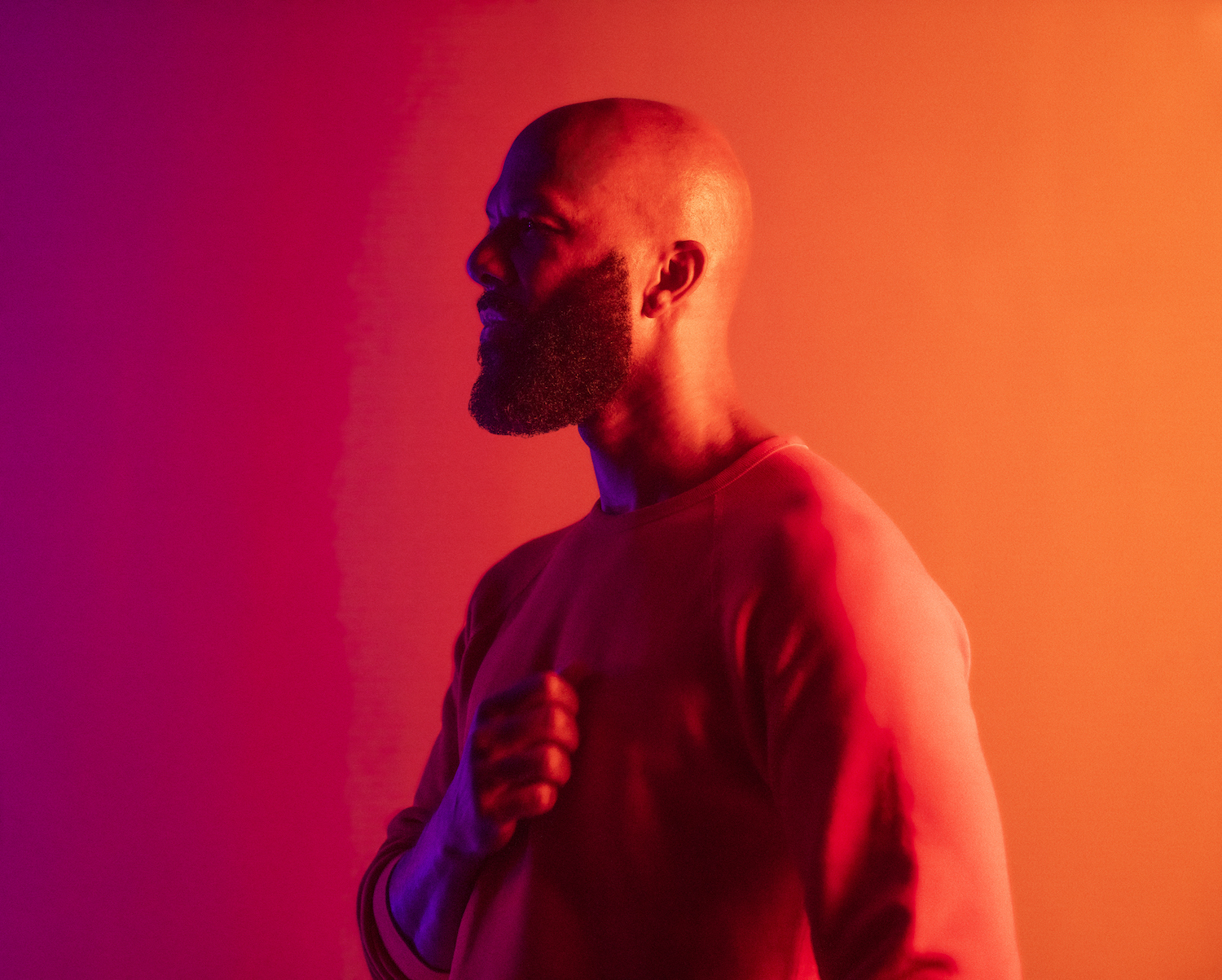 Common photo credit Armin Ramzy