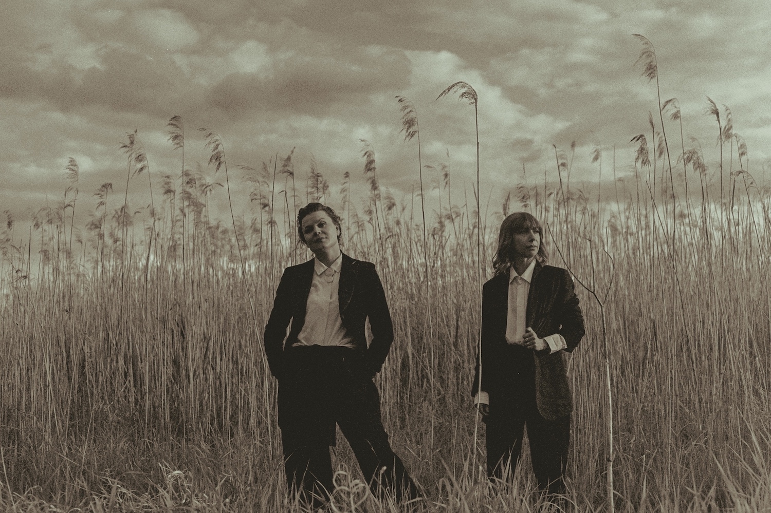 Complete Mountain Almanac sepia tall field Olof Grind