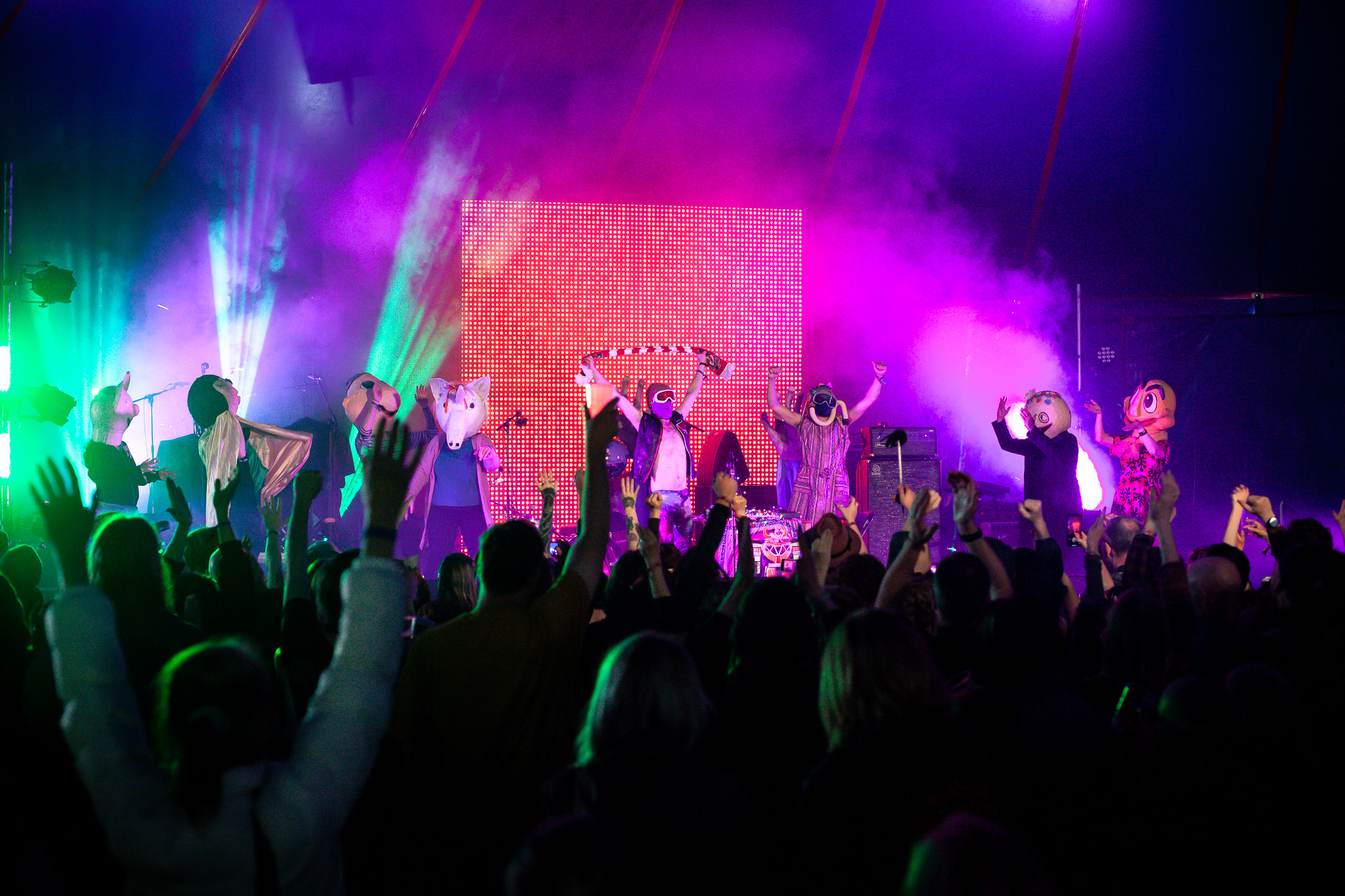 Cosmic Dog Fog at FOCUS Wales 2023 IMG 9155 credit Tim Rooney