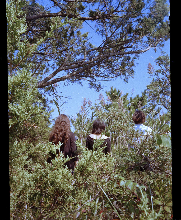 DSP carousel credit Ruby Faye