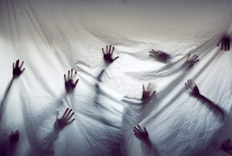 Del Bel hands photo