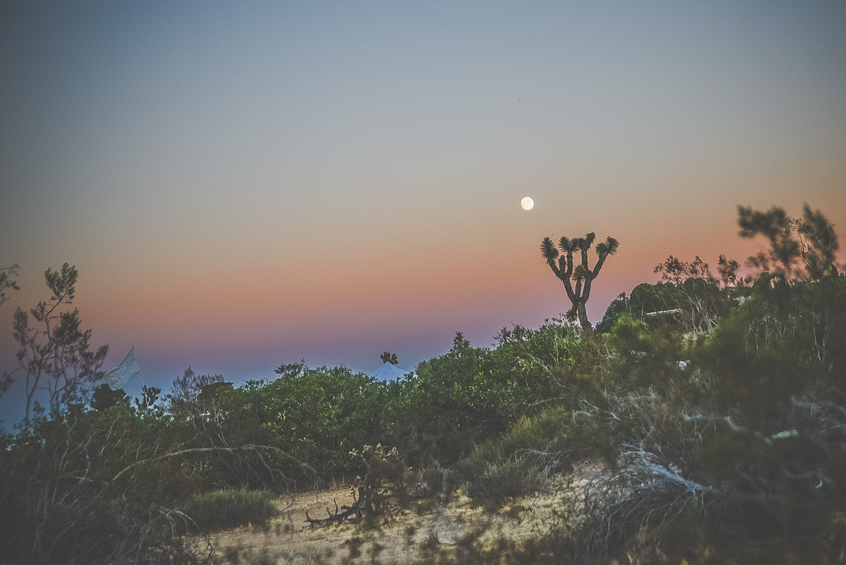 Desert Daze Festival Institute Of Mentalphysics Joshua Tree 10 14 15 16 Erika Reinsel 31