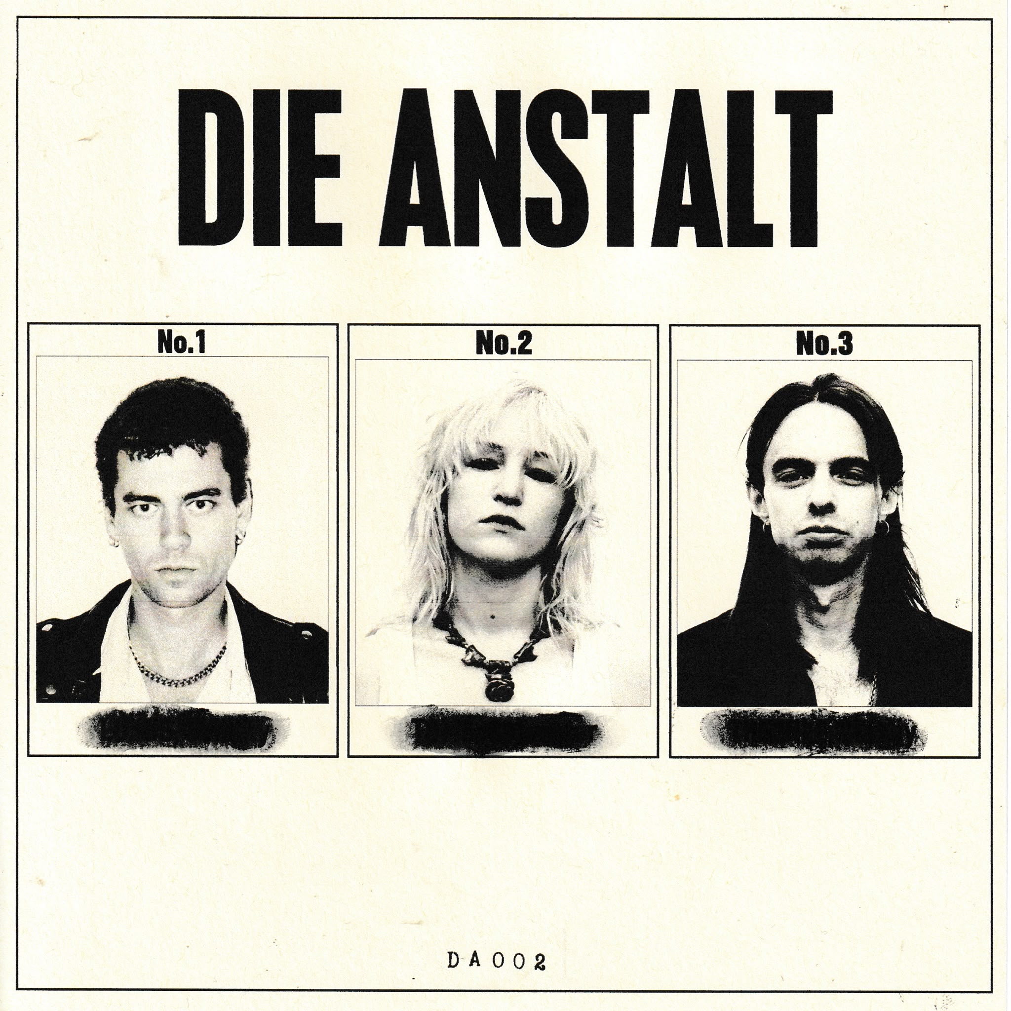 Die Anstalt Updated Cover Kopie