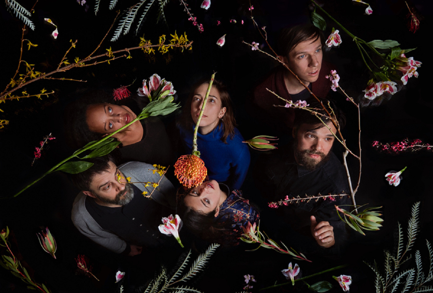 Dirty Projectors Credit Jason Frank Rothberg