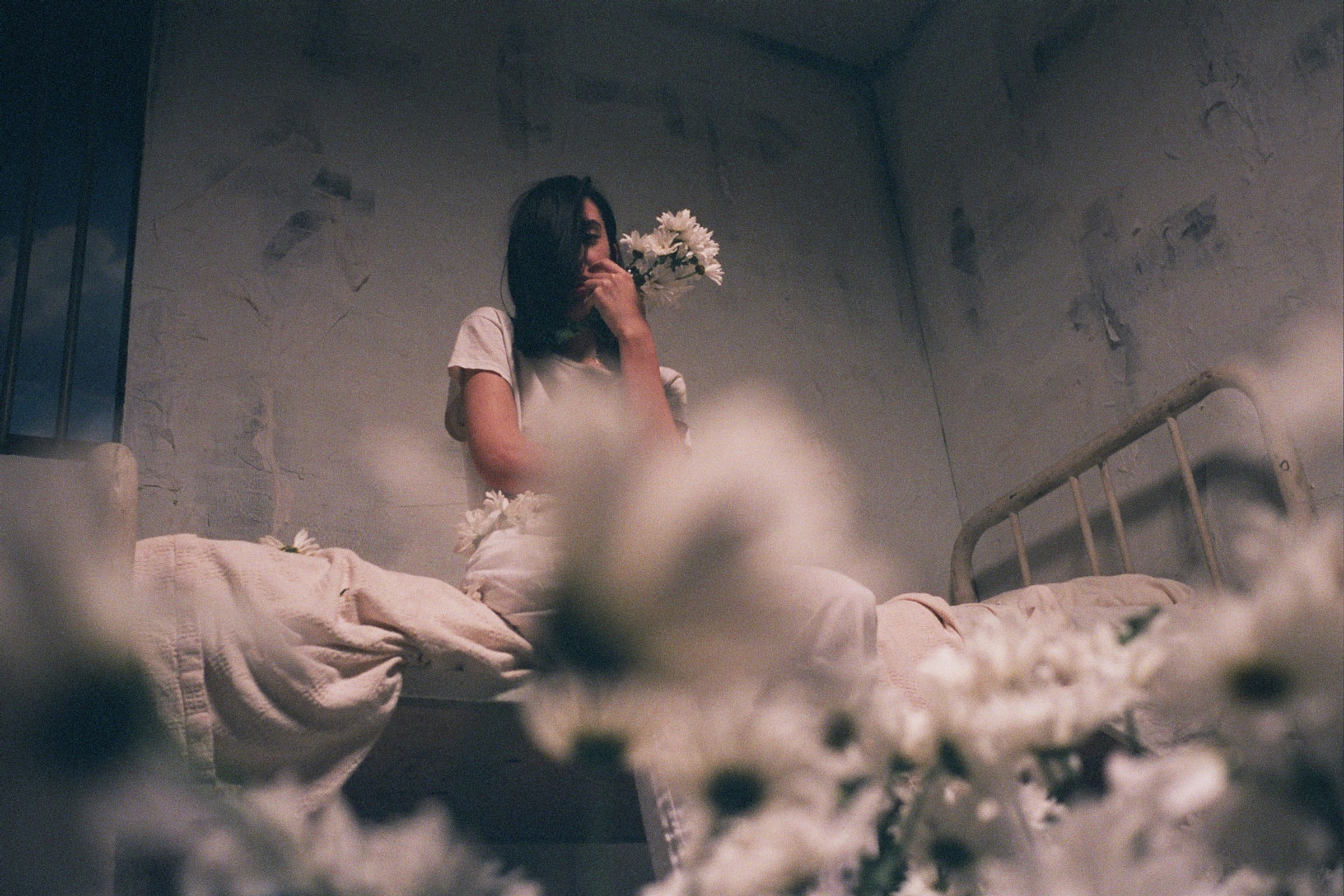 ELOHIM PHOTO PRESS FLOWER Credit Chase O Black 1