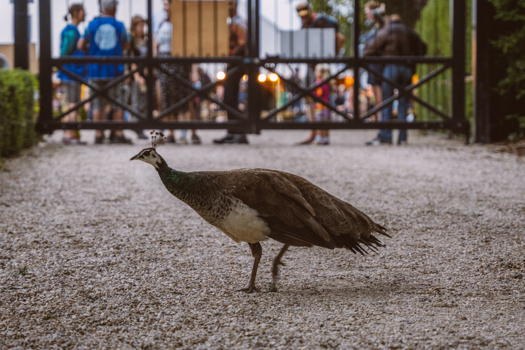 EOTR2022 THURS ATMOS 02 PARRI 4