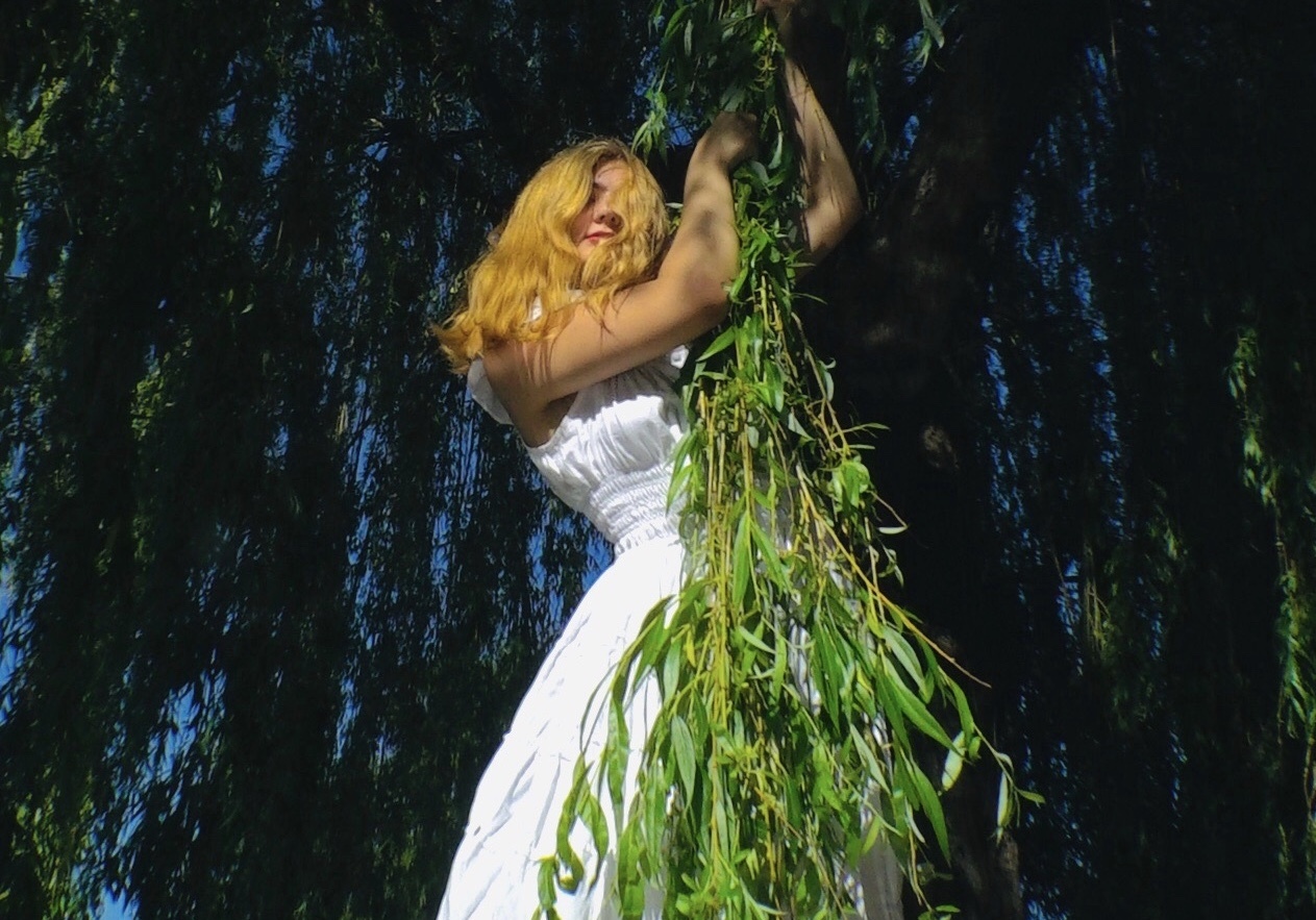 Eaves Wilder 2020 02