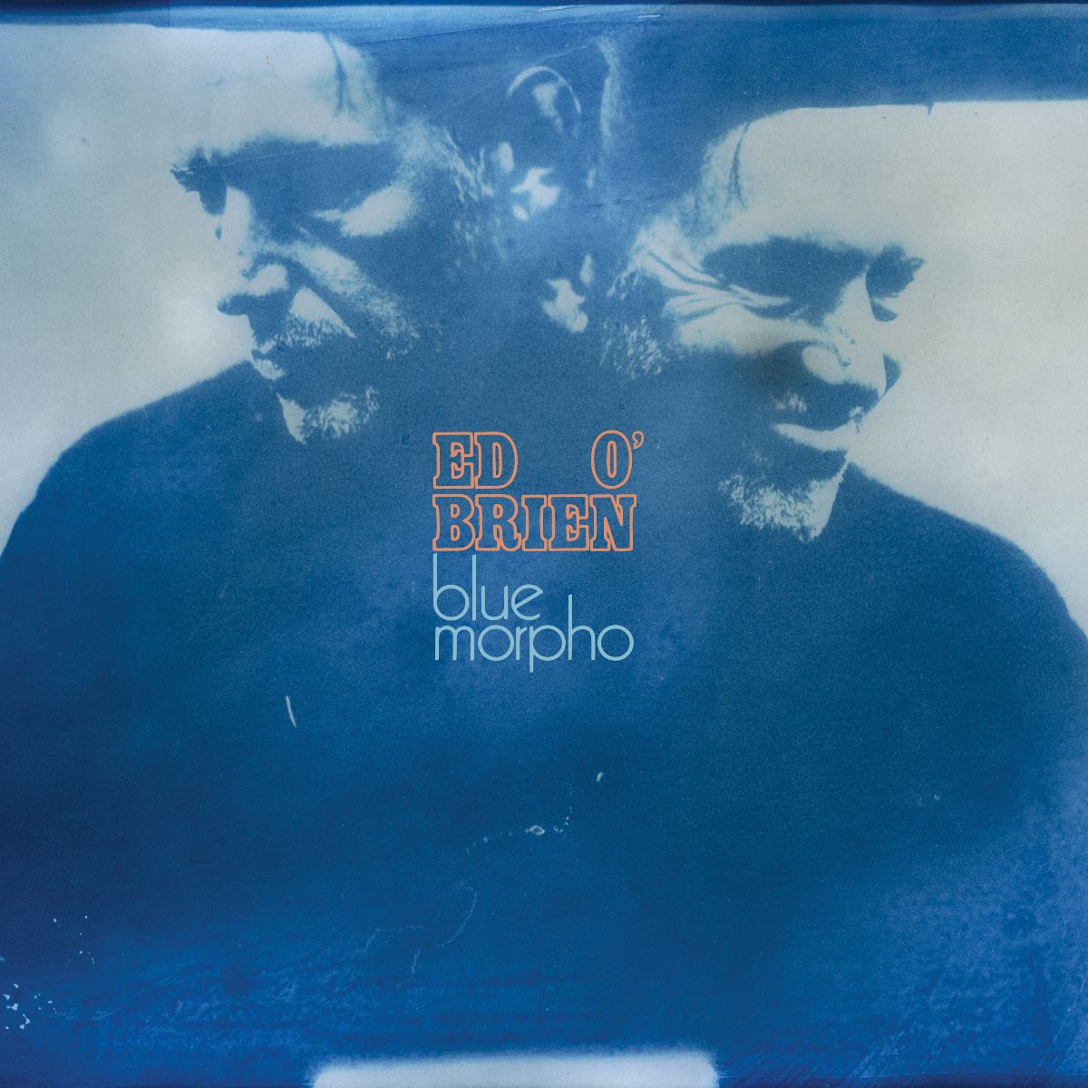 Ed O Brien Blue Morpho album art