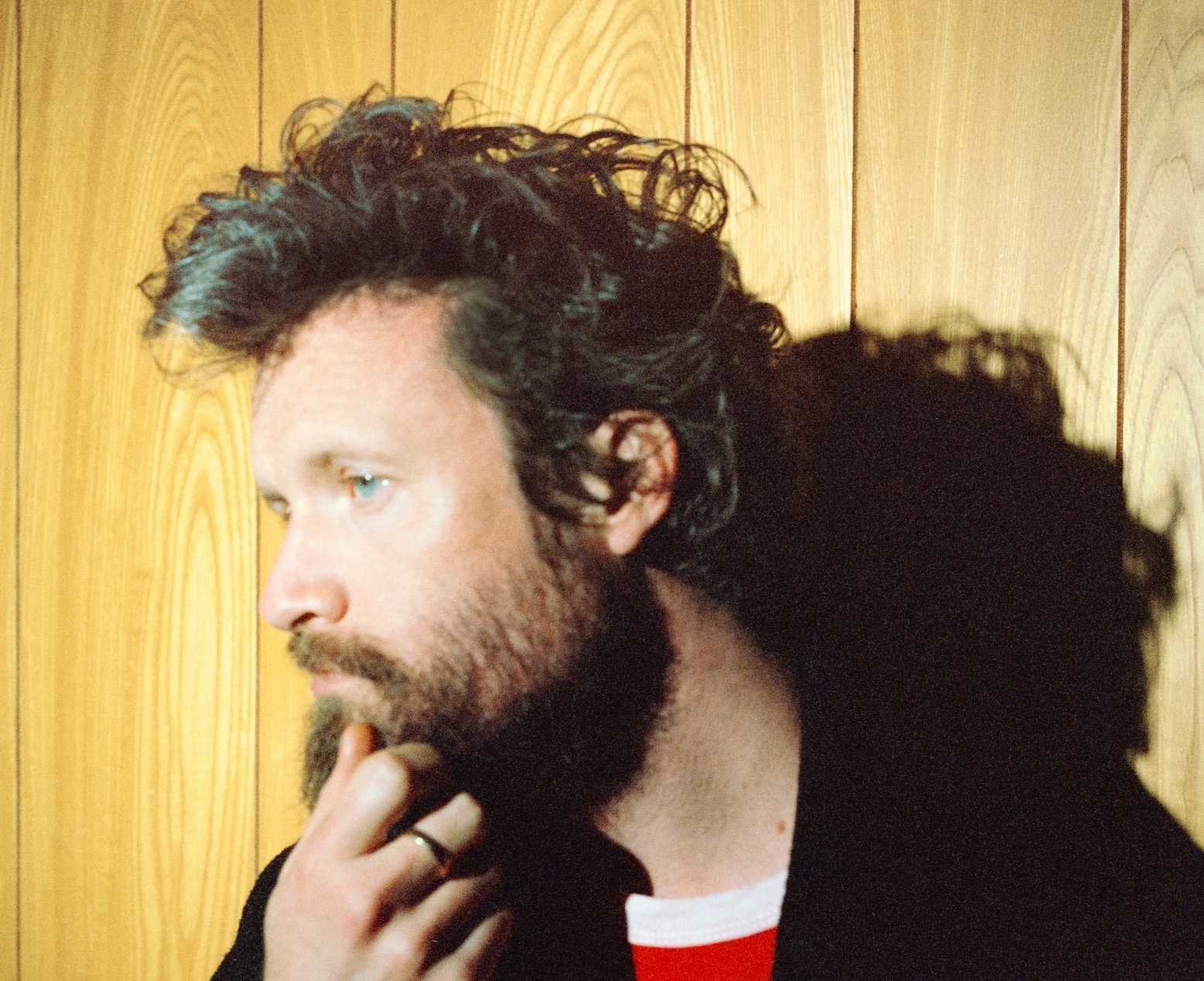 Father John Misty Greatish Hits