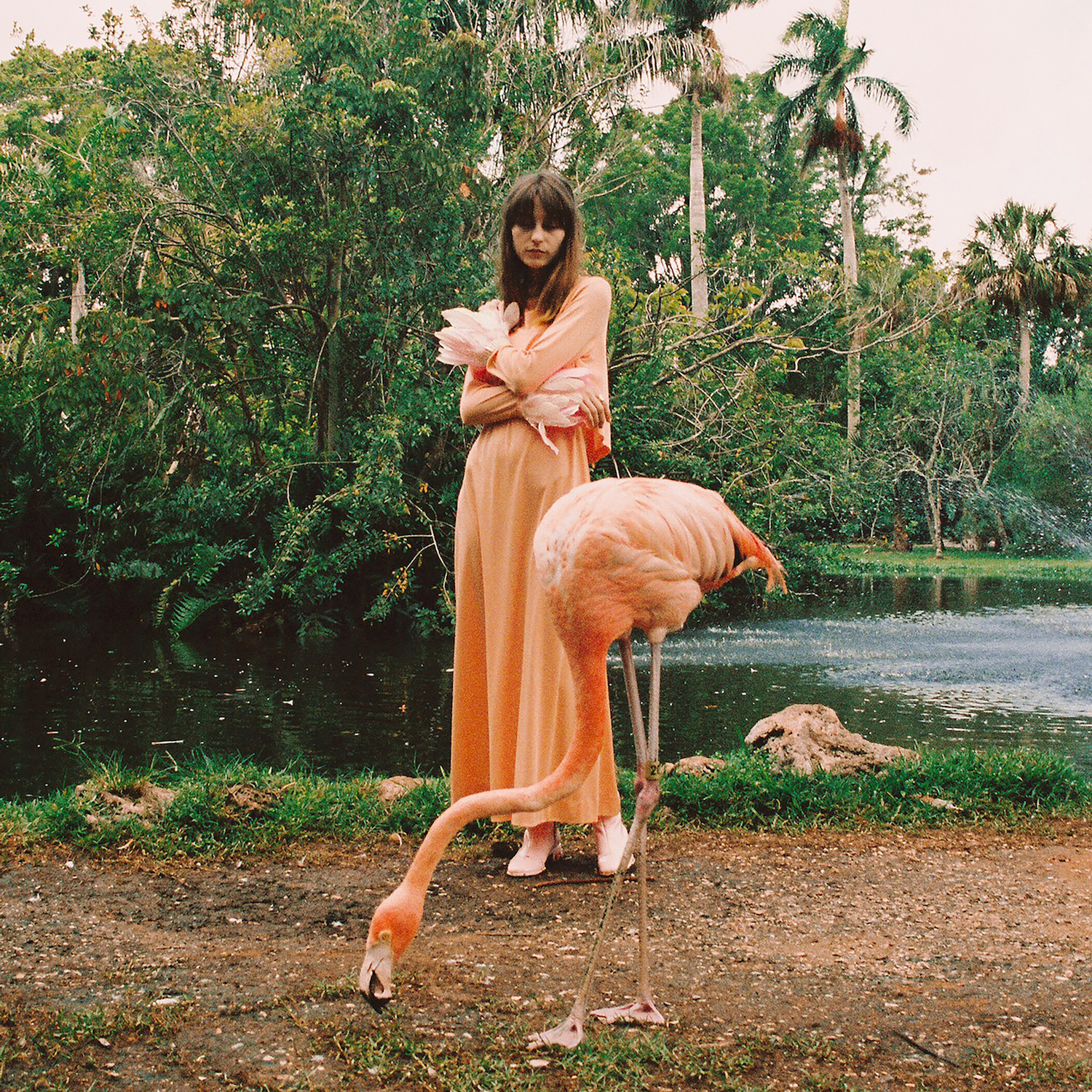 Faye Webster Kingston art