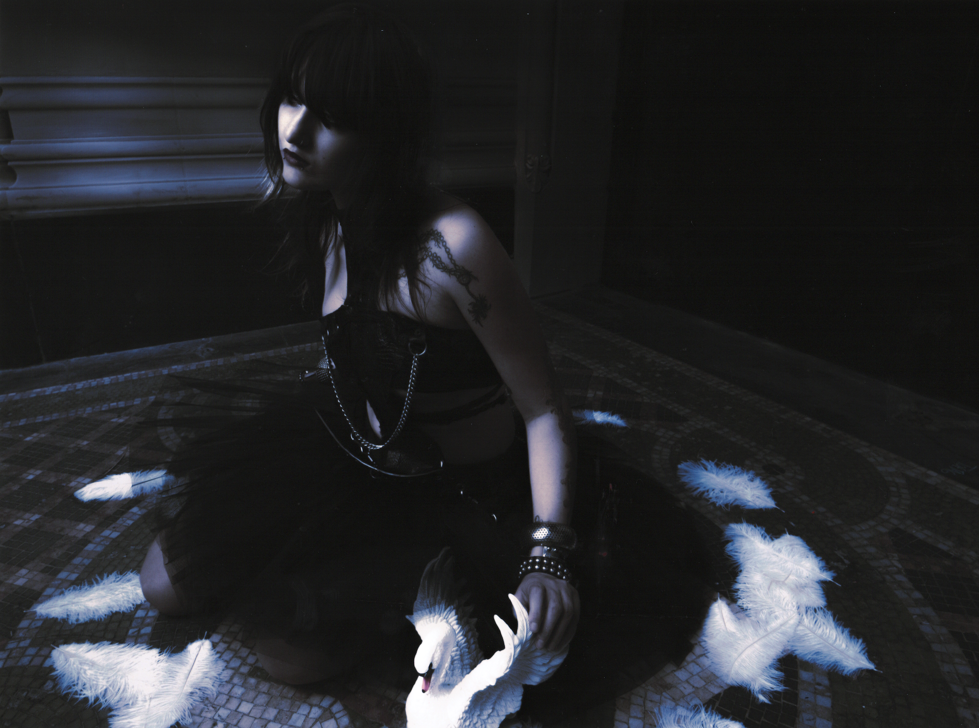 Final Scans 5