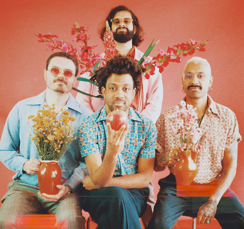 Flamingods pink background 2023