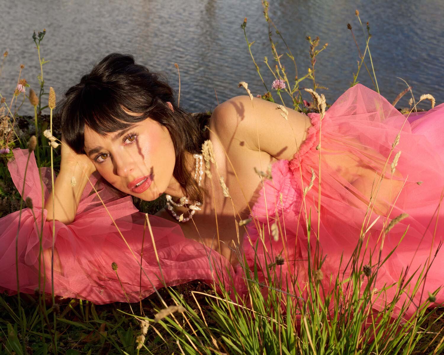 Foxes press shot credit Zachary Chick