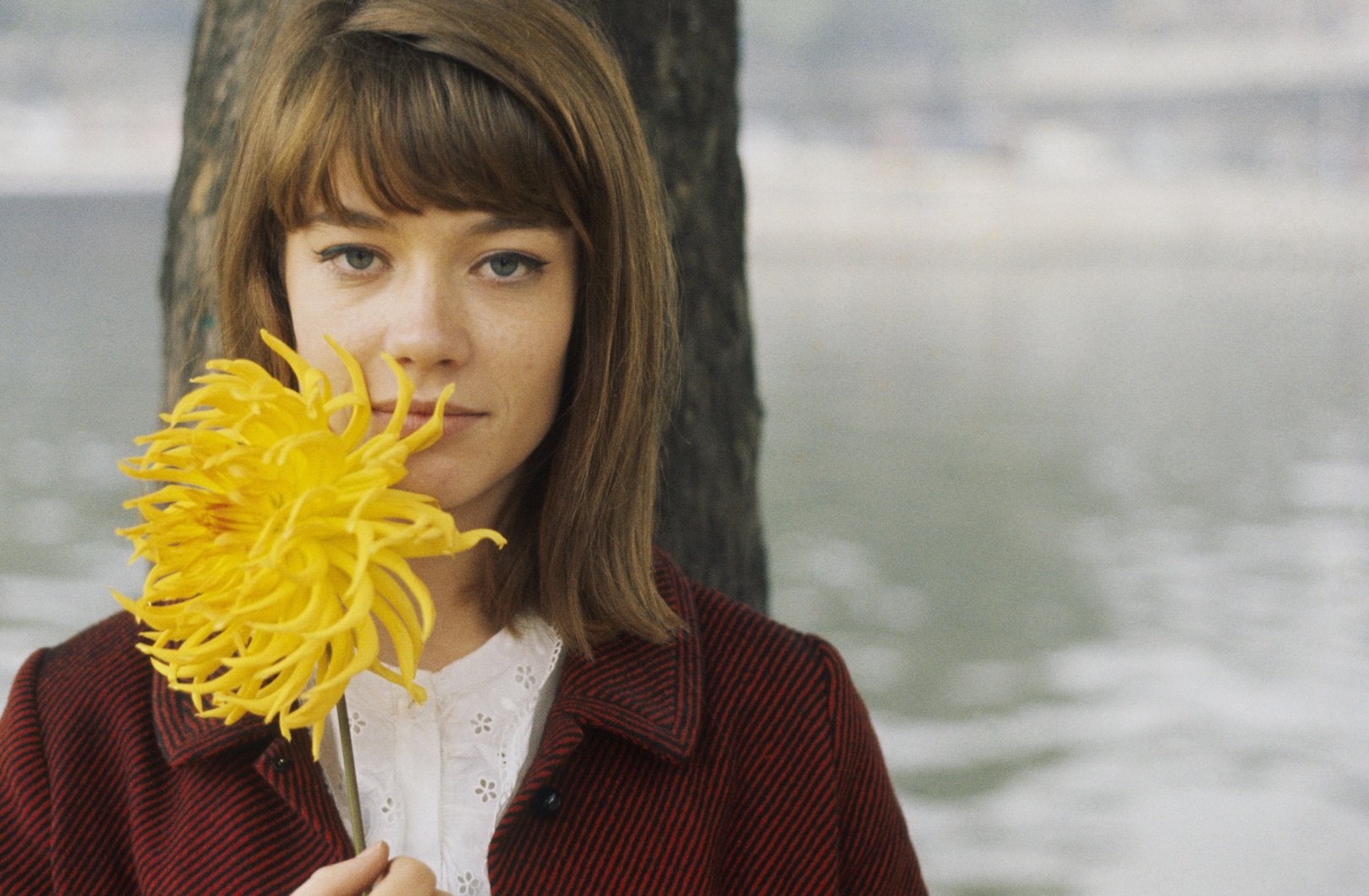Francoise Hardy