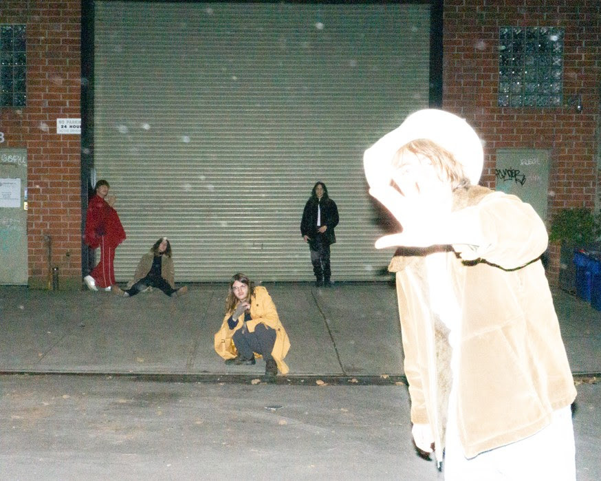 Geese overexposed street