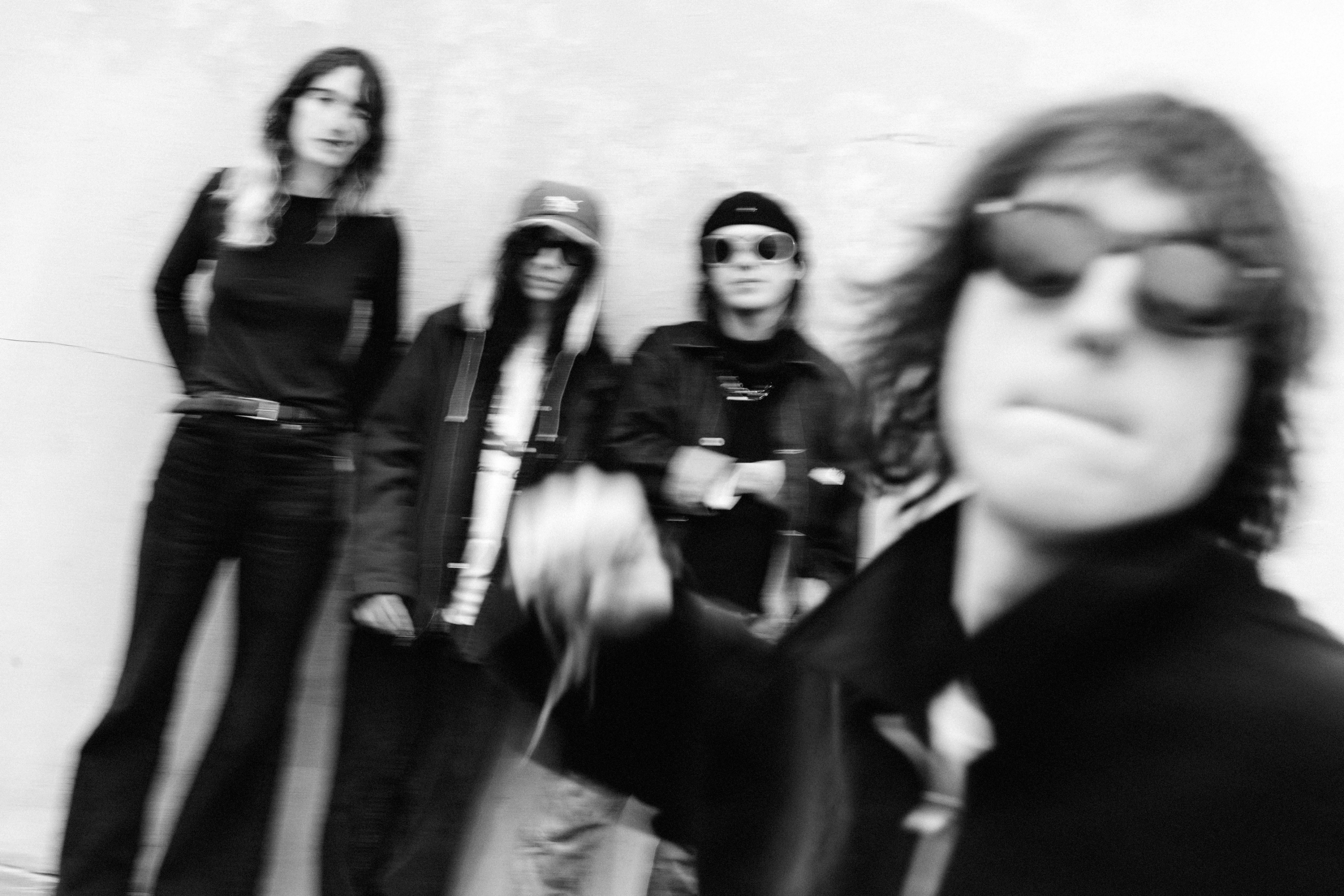 Geese Mark Sommerfield