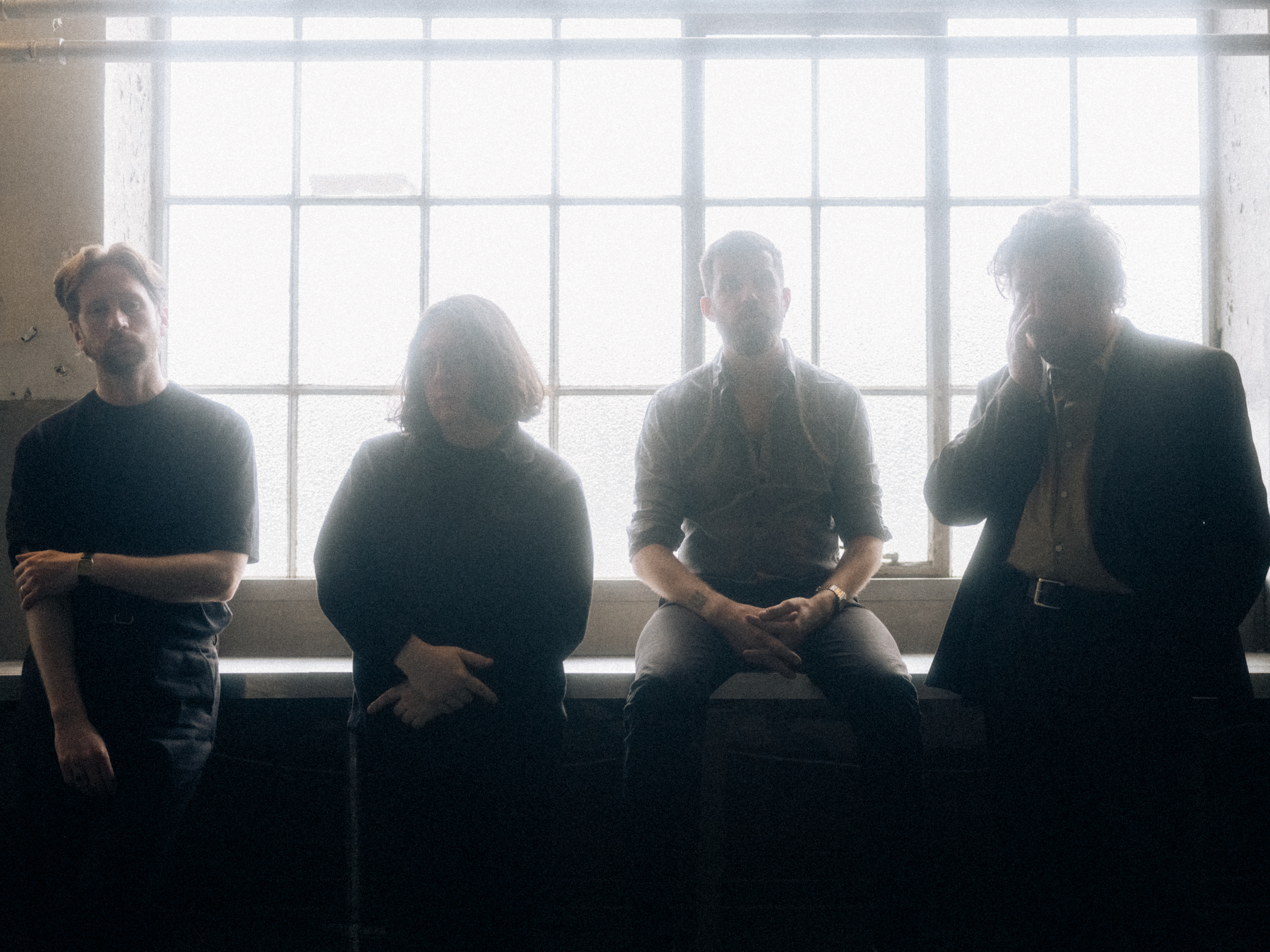 Gilla Band Giraffe photo