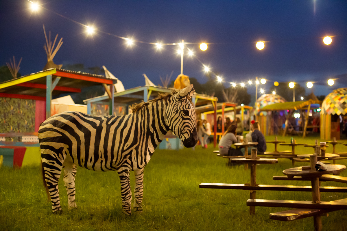 Glastonbury 250615 Siamak Amini 5