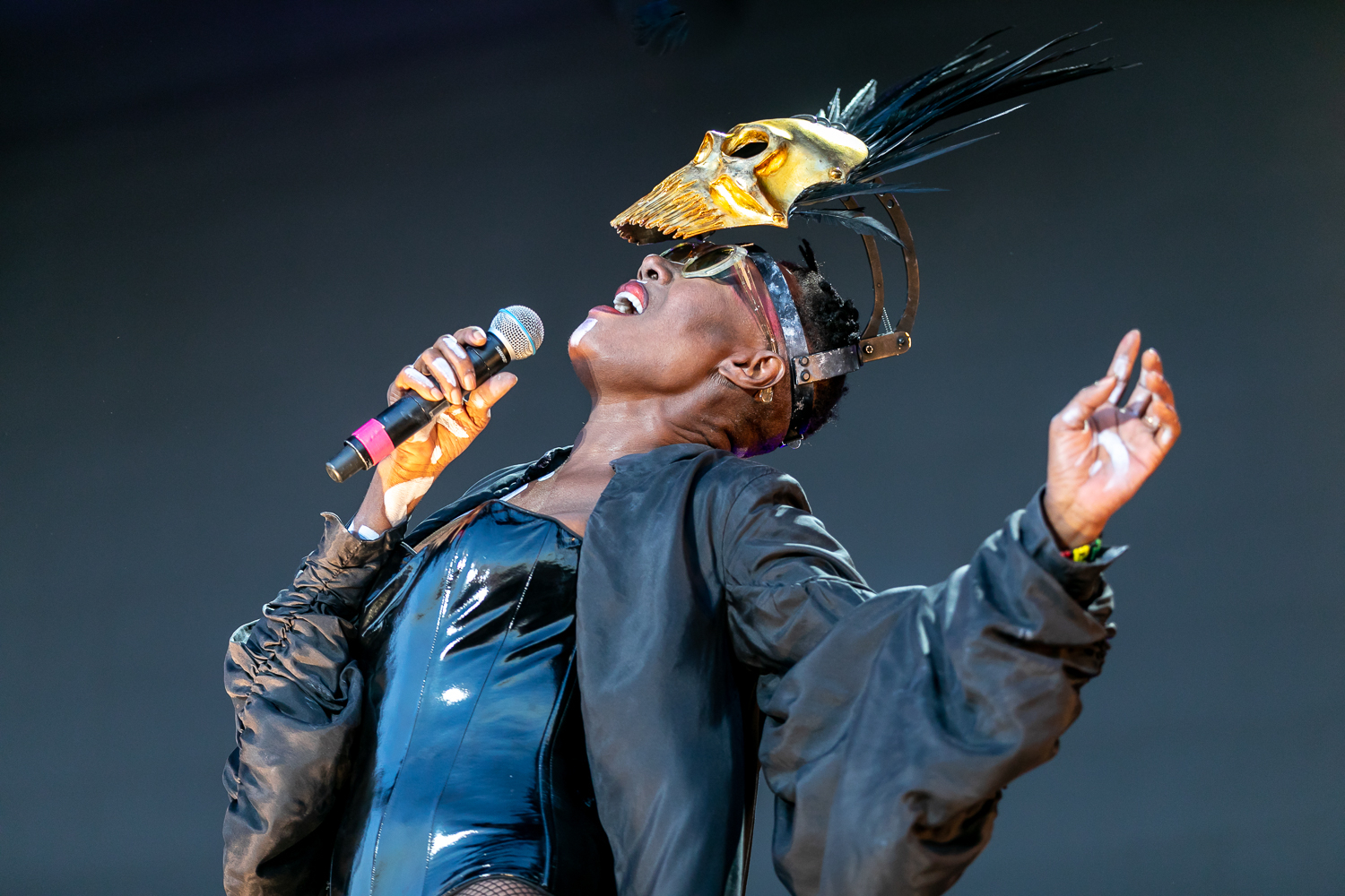 Grace Jones The Downs Festival 2019 Jan Rijk IMG 1008