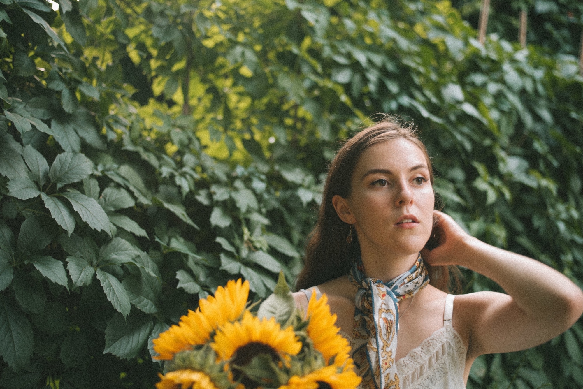 Grizzly Coast August 2018