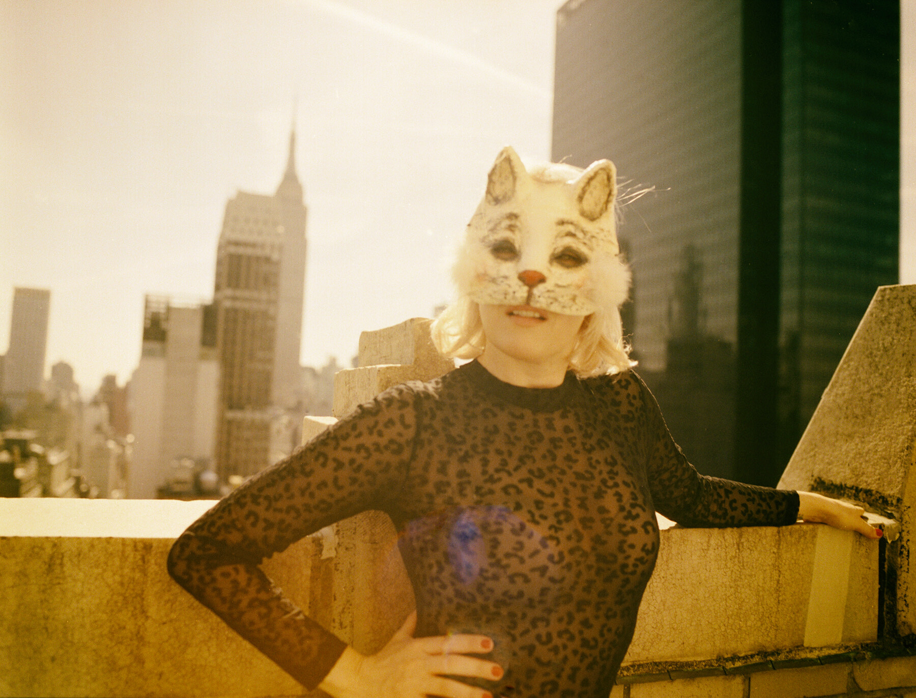 Gwenno Cat