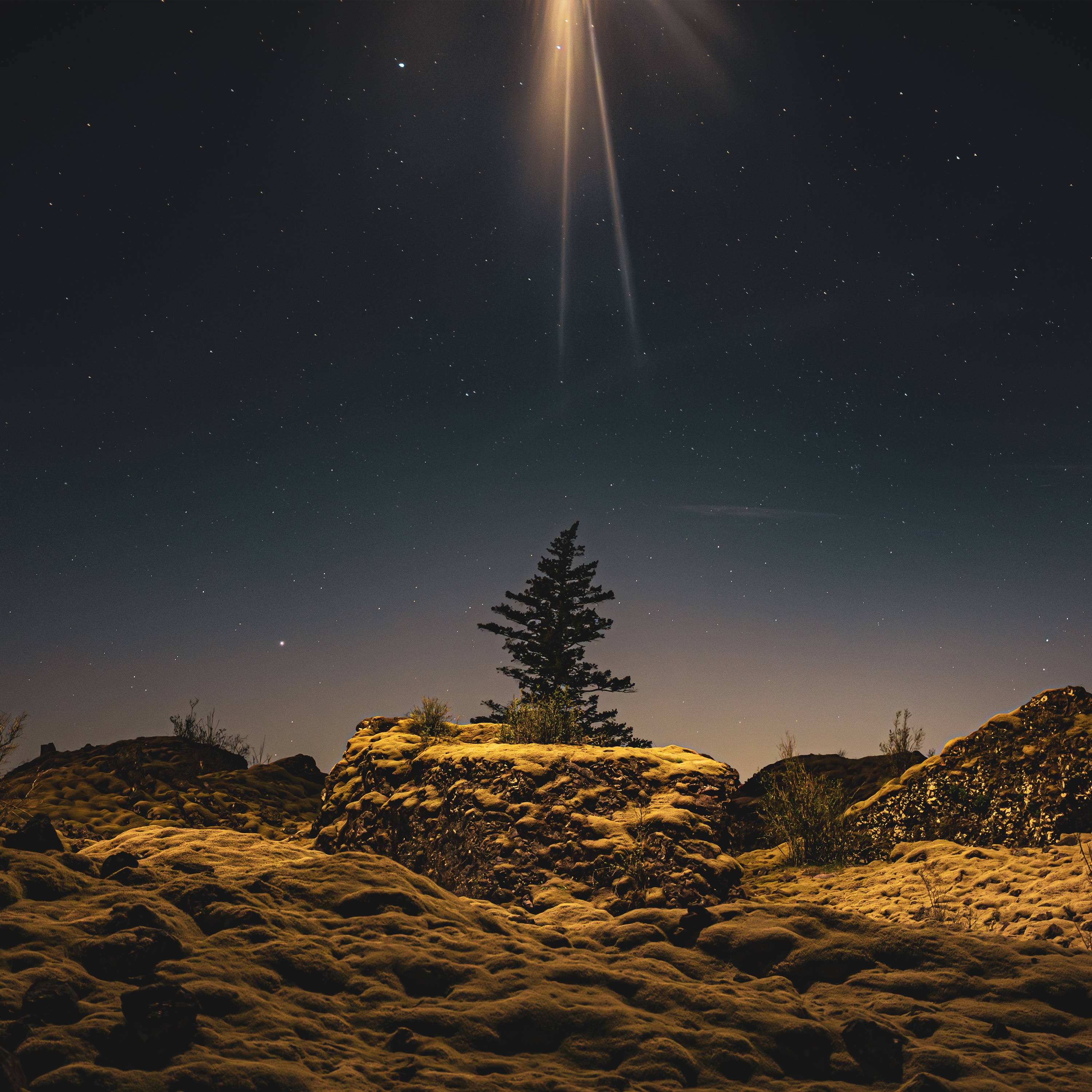 Hammock Moonrise cover art 3000px