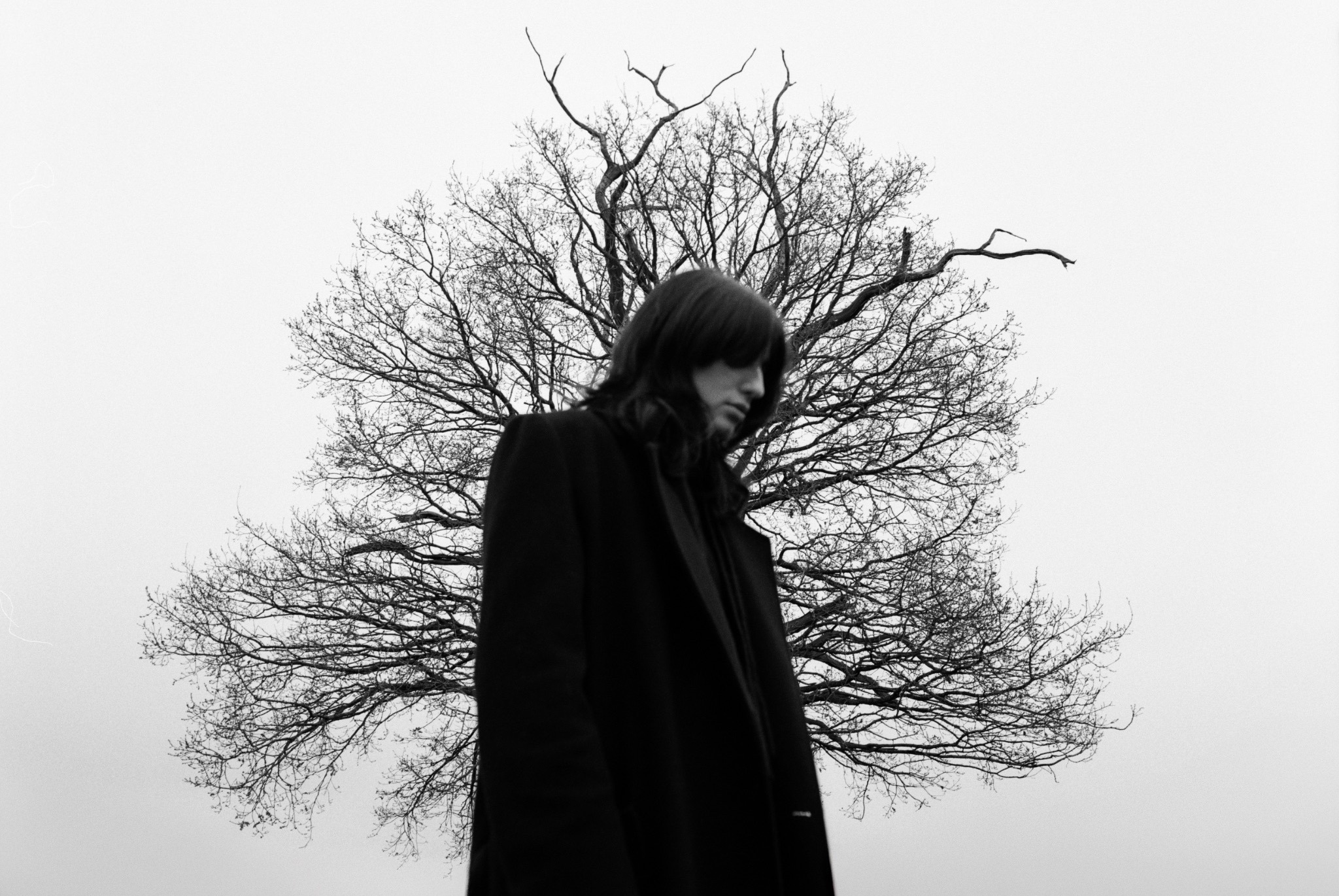 Heartworms Extraordinary Wings