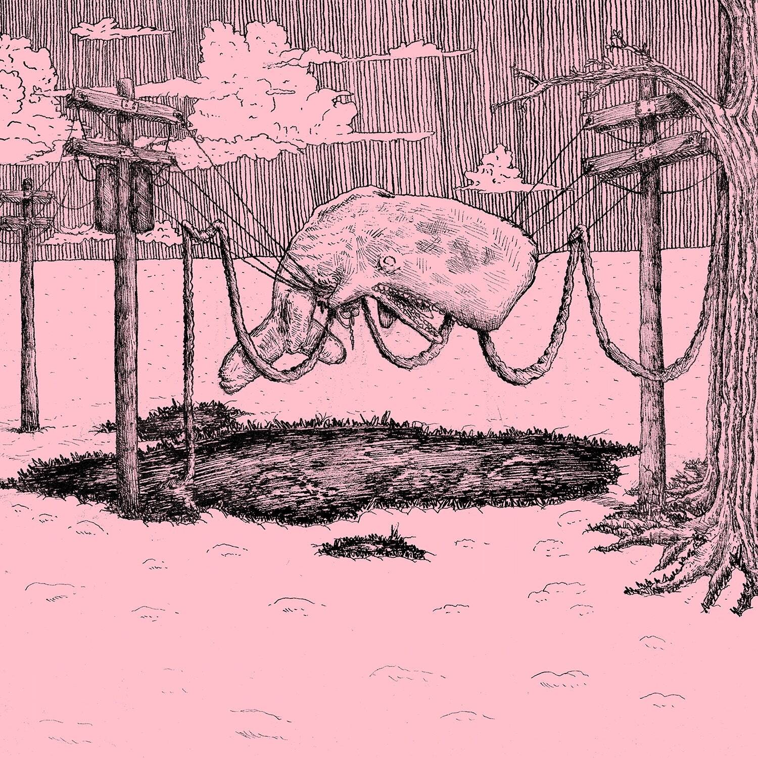 Home Is Where The Whaler